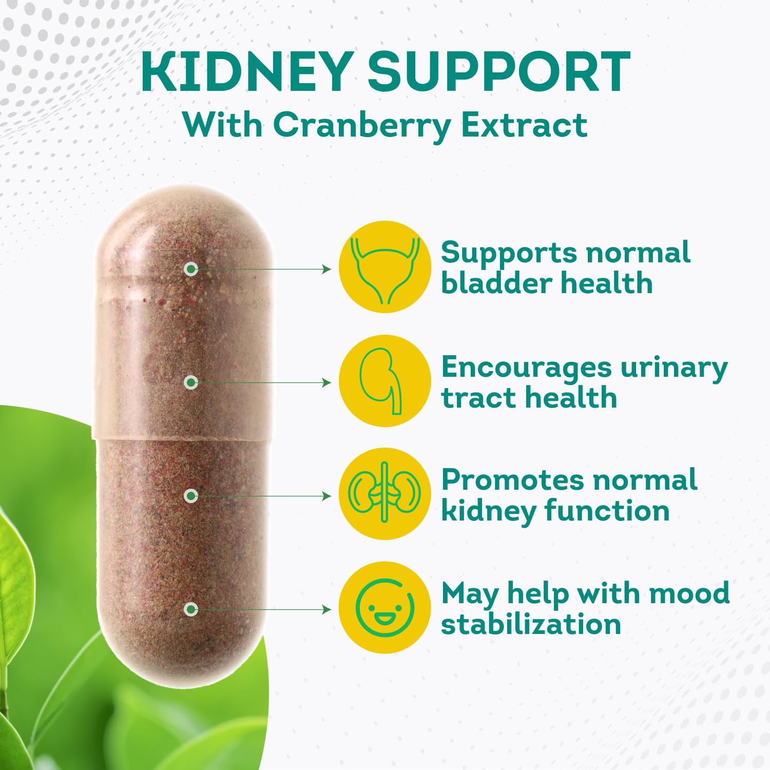 PurePremium Kidney Support Supplement for Men and Women - with Cranberry Extract PurePremium SupplementsAu supplements