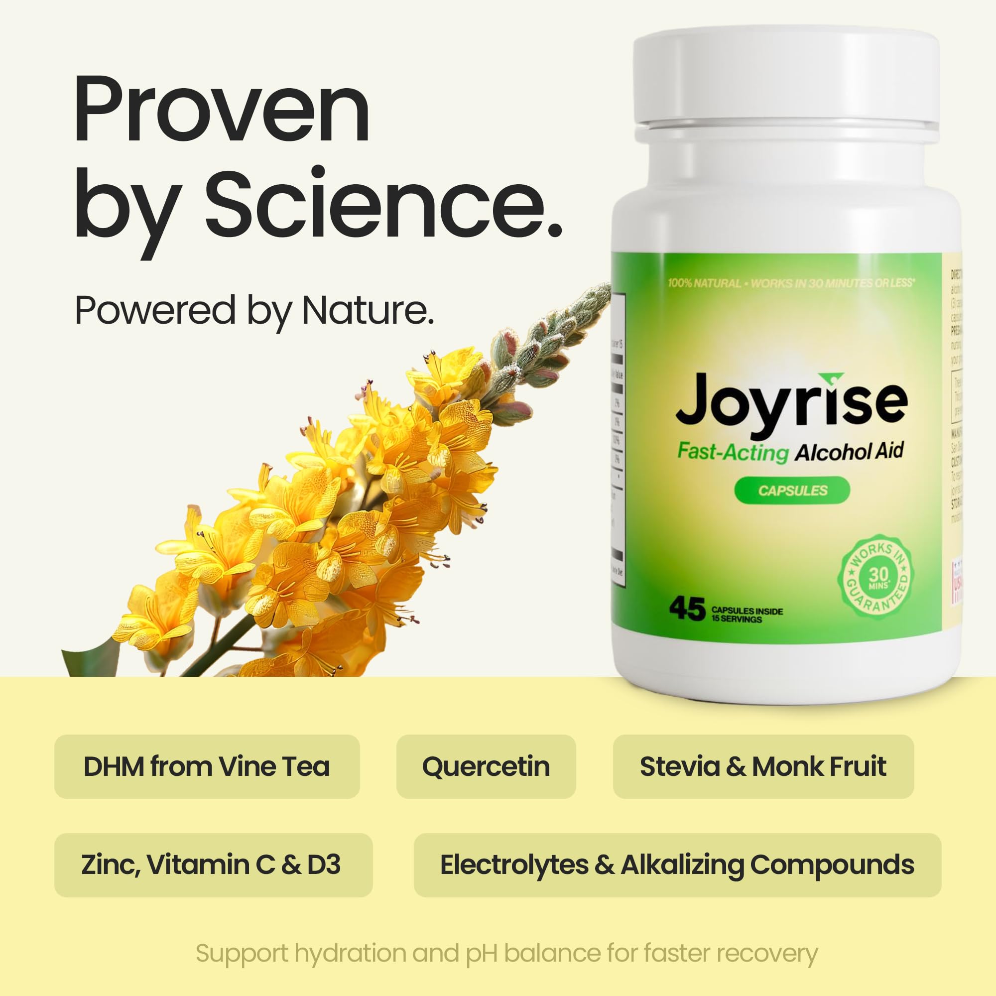 Joyrise® After Drinking Aid – Fast Acting Capsules with DHM – Alcohol Metabolism Support, Liver Health, Rapid Bioavailability & Body Replenishment – 45 Capsules (15 Servings) JoyriseAu supplements