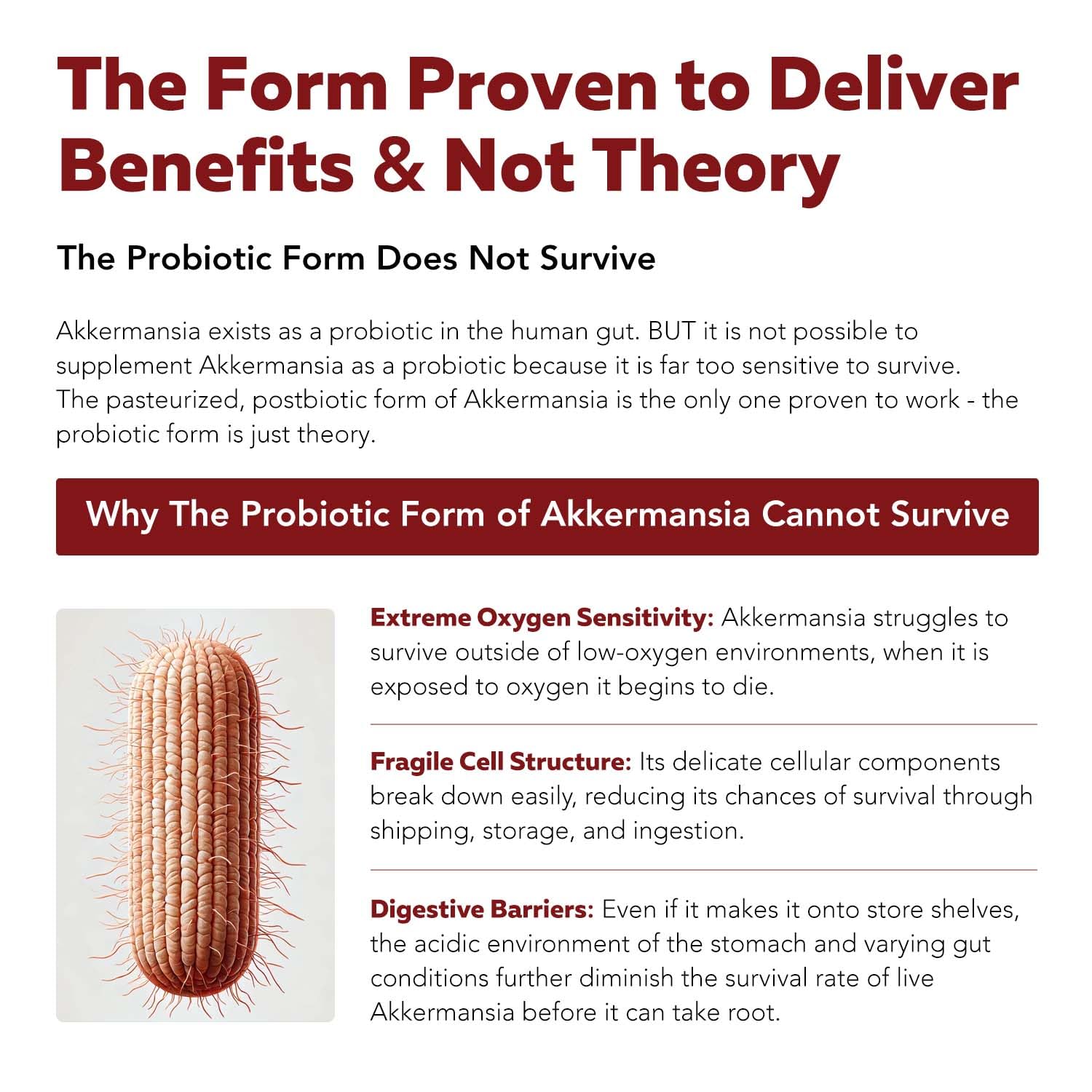AK-Postbio: Akkermansia Probiotic 30 Billion TFU - Max Strength, Clinically Validated Dose & Patented Strain - Superior Pasteurized Form, Highest Absorption, Delivery - GLP-1 Probiotic - 30 Servings Triquetra HealthAu supplements