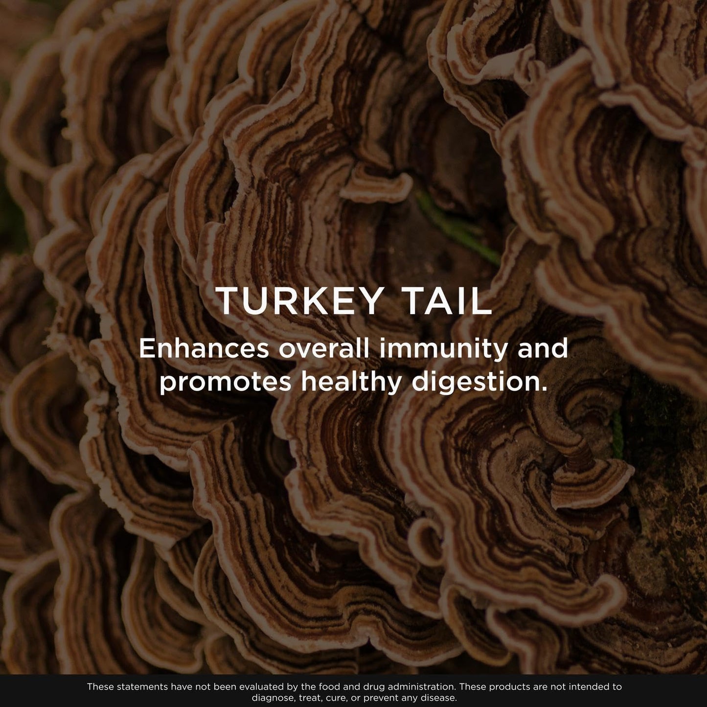 The Genius Brand Genius Turkey Tail - Plant-Based Supplement for Immune, Gut & Antioxidant Support - Organic & Non-GMO - 120 Veggie Capsules The Genius BrandUS supplements