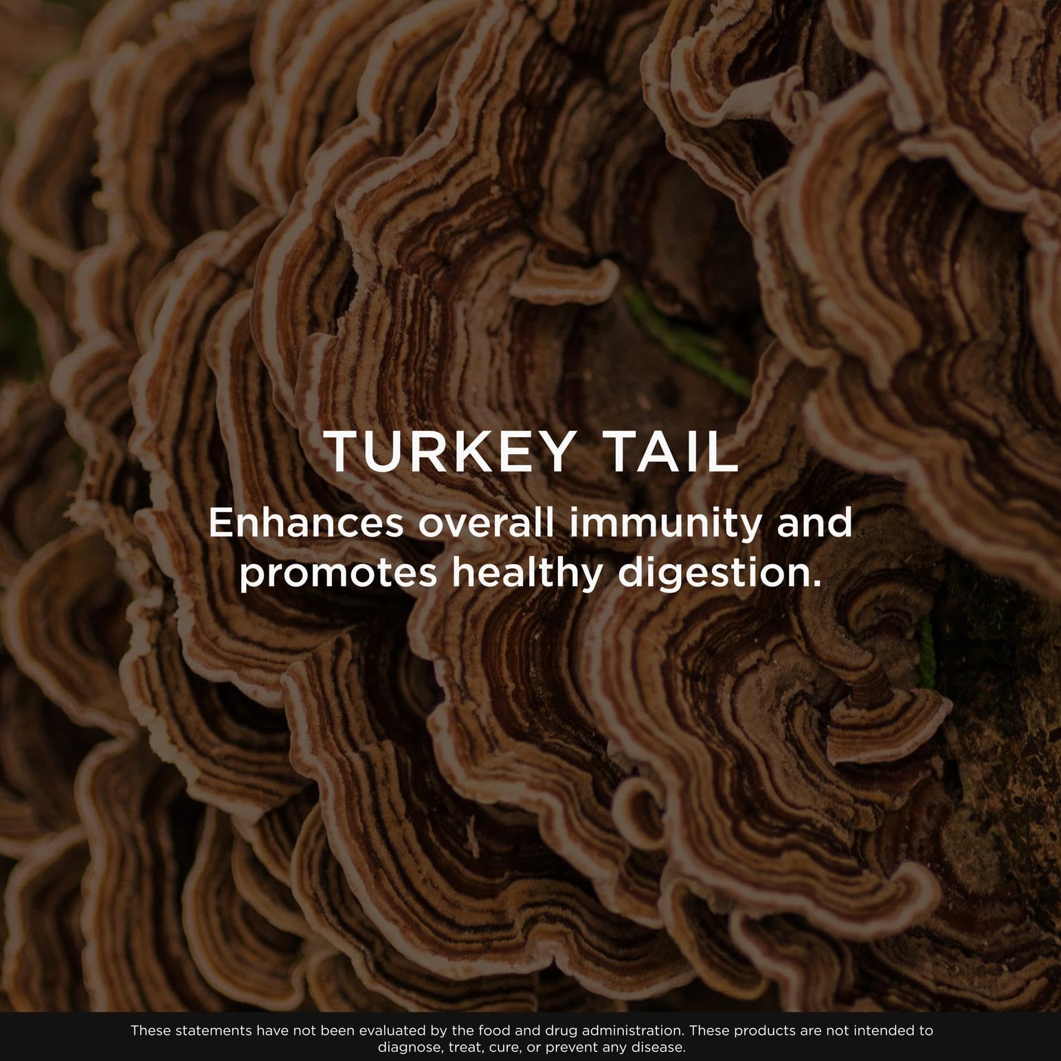 The Genius Brand Genius Turkey Tail - Plant-Based Supplement for Immune, Gut & Antioxidant Support - Organic & Non-GMO - 120 Veggie Capsules The Genius BrandUS supplements