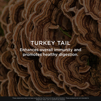The Genius Brand Genius Turkey Tail - Plant-Based Supplement for Immune, Gut & Antioxidant Support - Organic & Non-GMO - 120 Veggie Capsules The Genius BrandUS supplements
