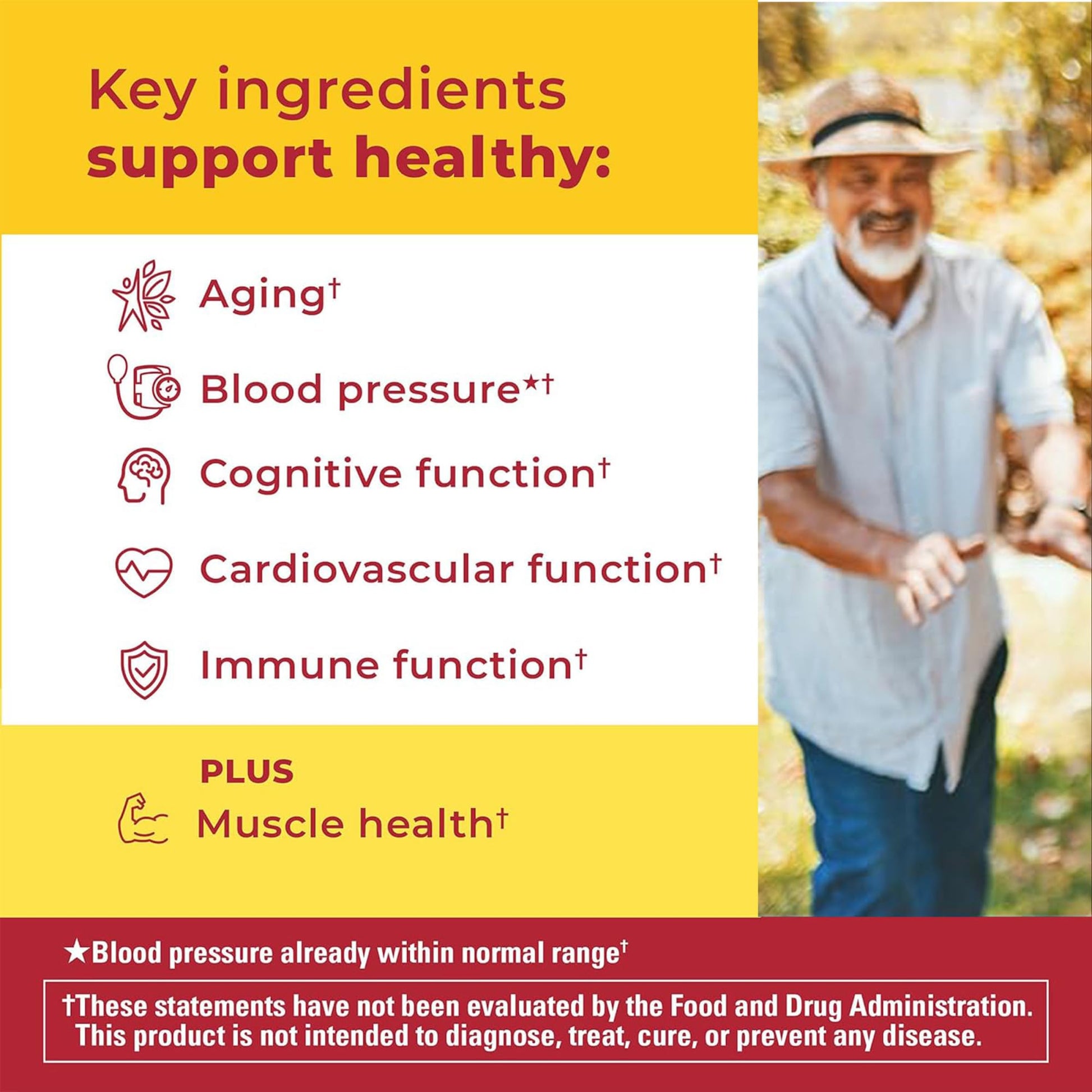 Nature Made Advanced Multivitamin Gummies 50 + for Him, Mens Multivitamins Gummies with Magnesium Citrate Nature MadeAu supplements