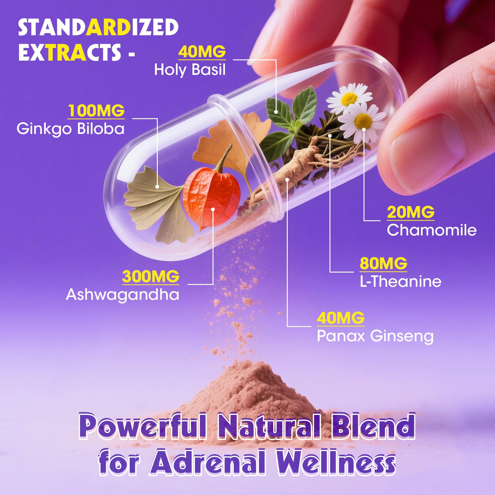 Alliwise Cortisol Supplements for Women & Men - Adrenal Support with Ashwagandha, L-Theanine & Holy Basil for Stress Relief, Mood & Steady Focus - Hormone Balance - 120 Vegan Capsules AlliwiseAu supplements