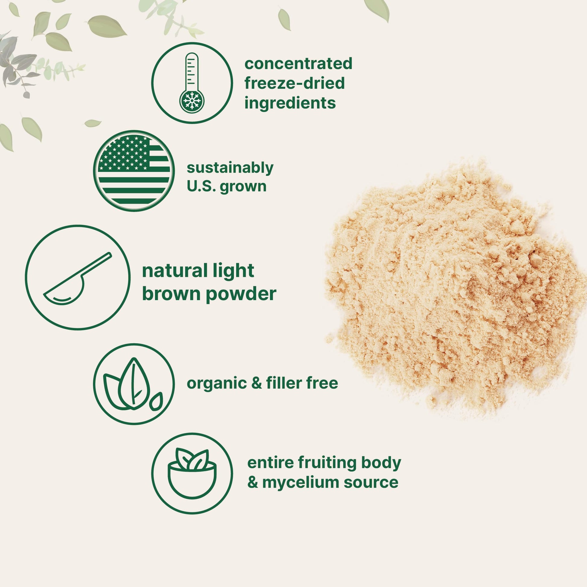 Micro Ingredients Organic Lions Mane Mushroom Supplement Powder 16 Ounce Micro IngredientsAu supplements