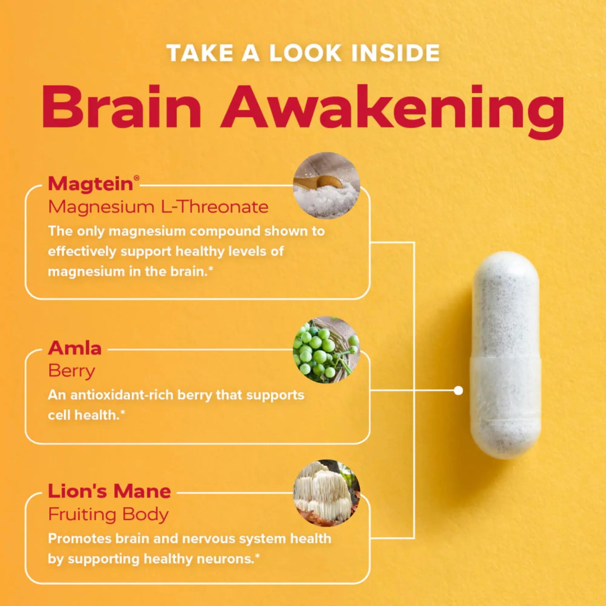 Redd Remedies, Brain Awakening, Supports Cognitive Function and Focus, 120 Vegan Capsules Redd Remediesnz supplements