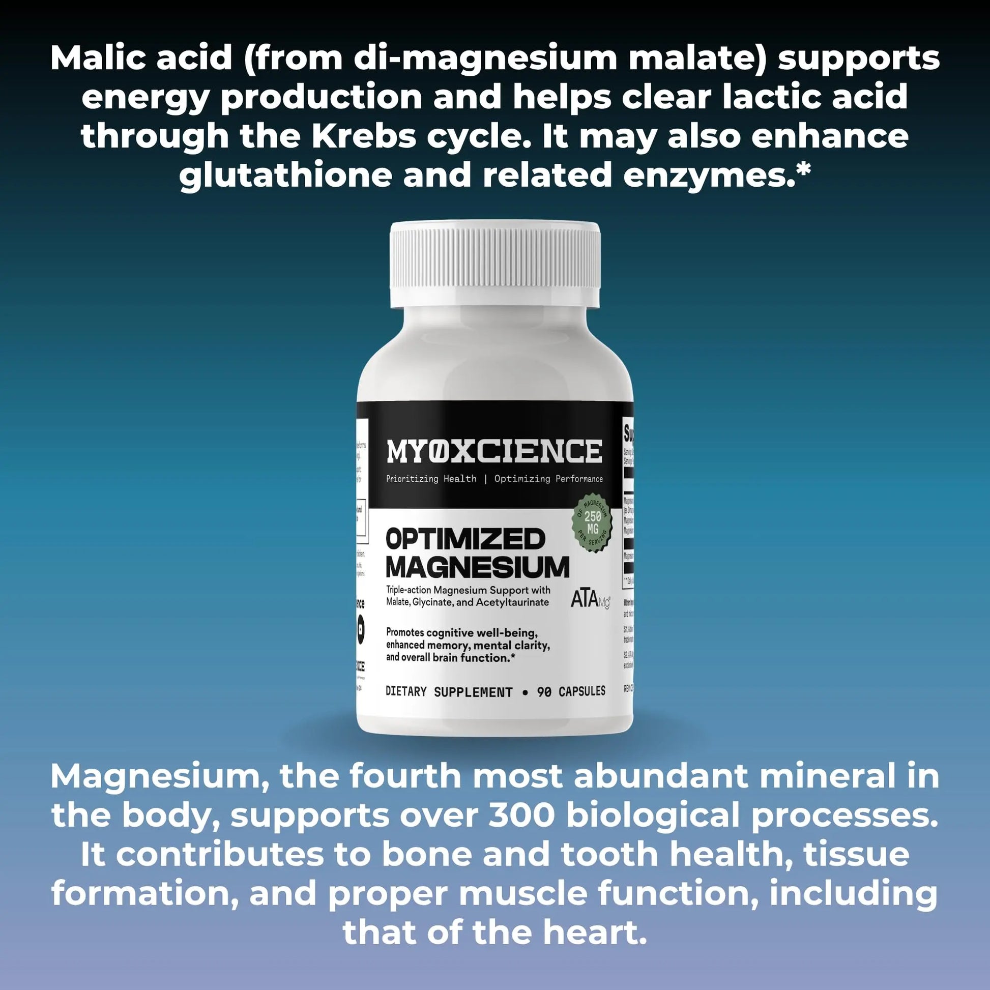 MYOXCIENCE Optimized Magnesium Glycinate + Magnesium Taurate (as ATAmag®) for High Brain Bioavailability to Support Stress Relief and Sleep | 30 Servings MYOXCIENCEnz supplements