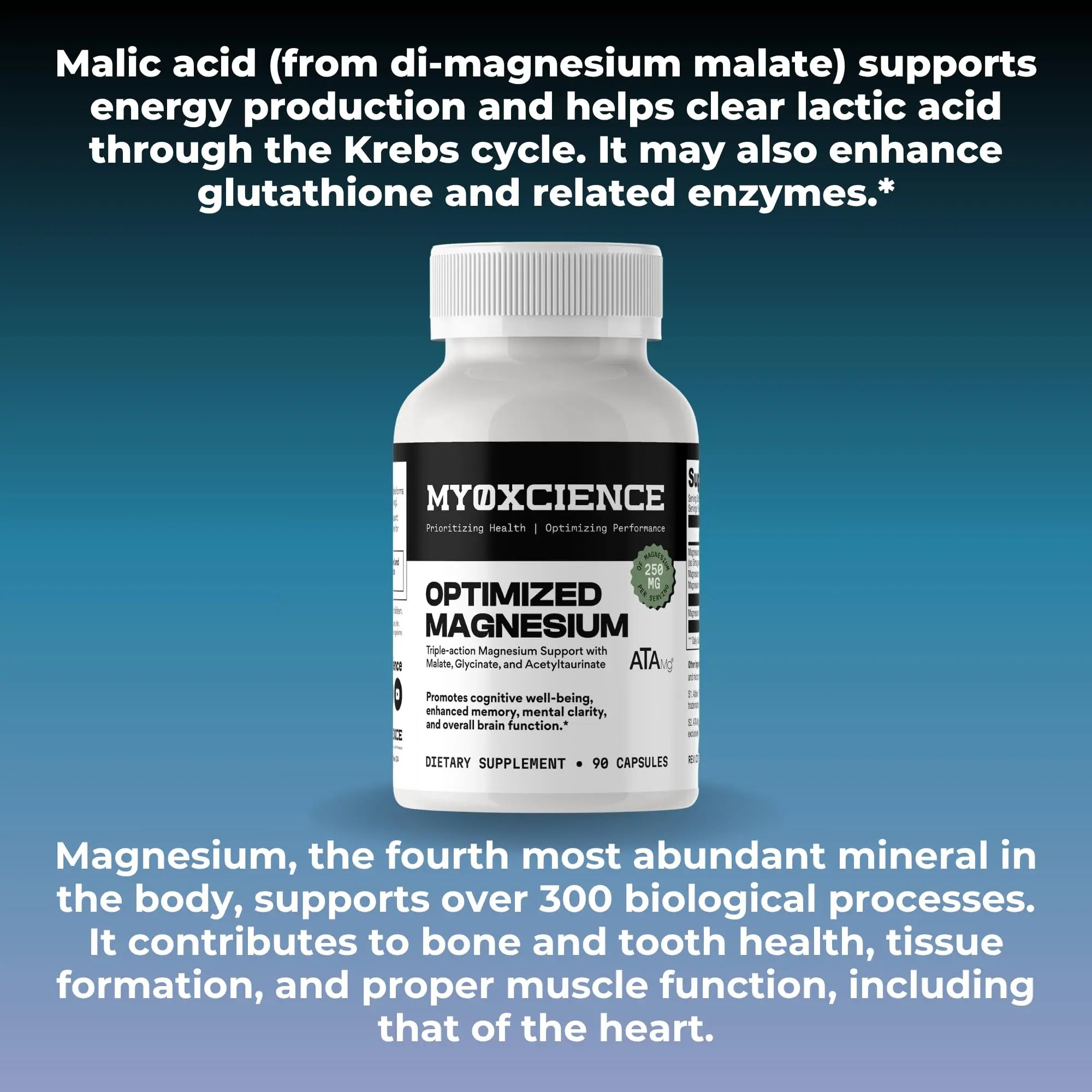 MYOXCIENCE Optimized Magnesium Glycinate + Magnesium Taurate (as ATAmag®) for High Brain Bioavailability to Support Stress Relief and Sleep | 30 Servings MYOXCIENCEnz supplements