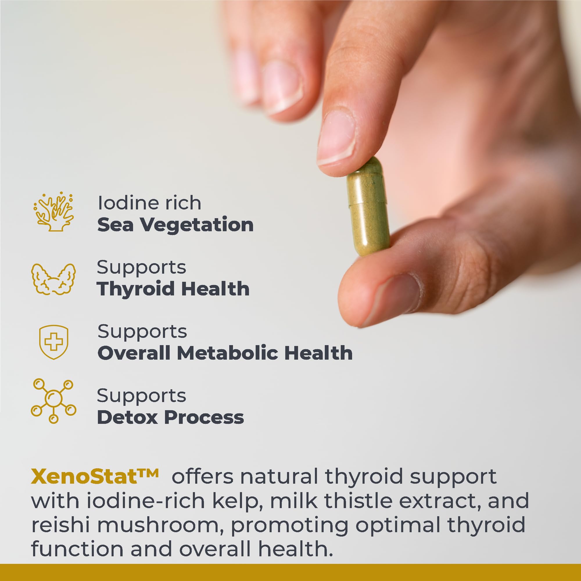 Premier Research Labs XenoStat - Thyroid Supplement, Thyroid Support for Women & Men, Iodine Supplement, Hormone Support, Thyroid Support Complex Supplement - 90 Capsules Premier Research LabsAu supplements