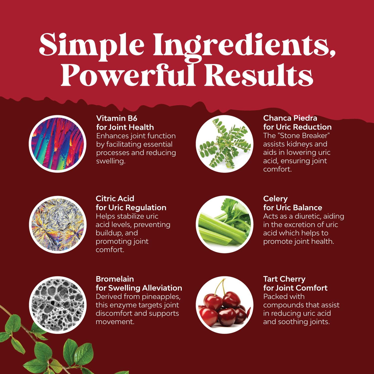 Tart Cherry Capsules for Joint Support and Kidney Cleanse - Daily Uric Acid Detox and Cleanse Natures CraftAu supplements