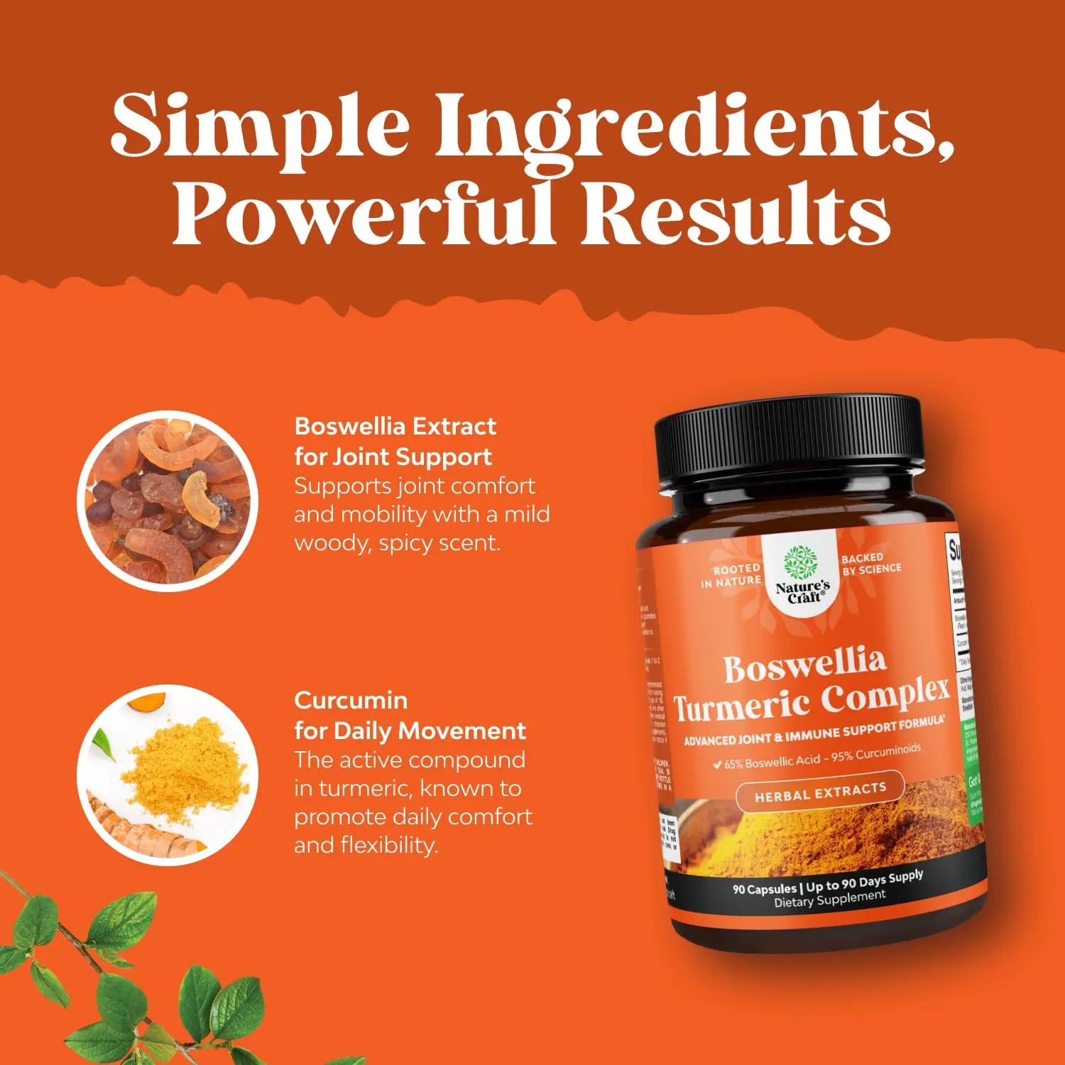 Boswellia Extract Capsules with Turmeric - Advanced Immune Health Support Supplement - Turmeric & Boswellia Serrata Capsules 500mg per Serving for Body Detox & Healthy Joints - 90 Count Natures Craftnz supplements