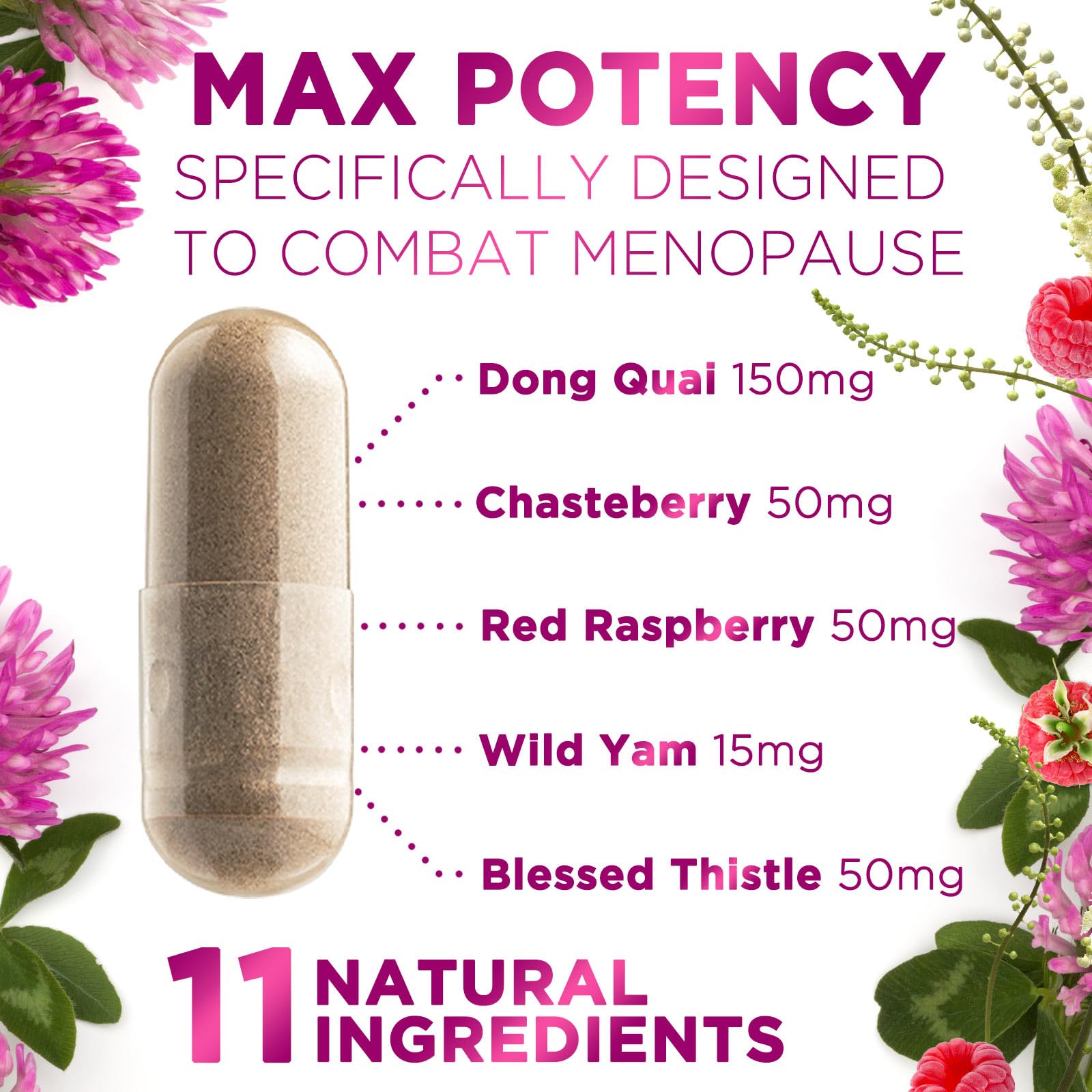 Menopause Supplements for Women - Complete Menopause Relief with Dong Quai & Black Cohosh - For Natural, Mild Hot Flash & Night Sweats - Hormone, Energy & Balance Support, Bottled in USA - 60 Capsules Nature's NutritionAu supplements