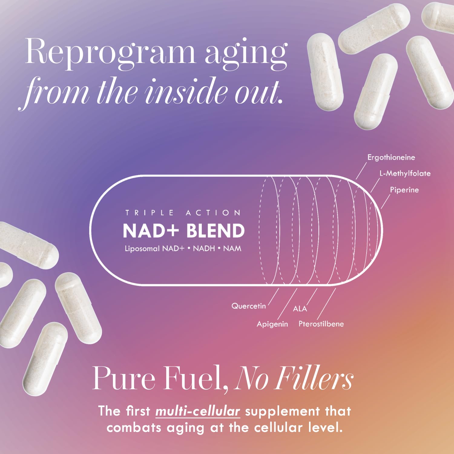 Cell Theory NAD+ Supplement – Triple Action Liposomal NAD+ & NADH Formula for Cellular Energy, Mitochondrial Support, and Longevity, Developed by Dr. Halland, 60 Capsules (30-Day Supply) Cell TheoryAu supplements