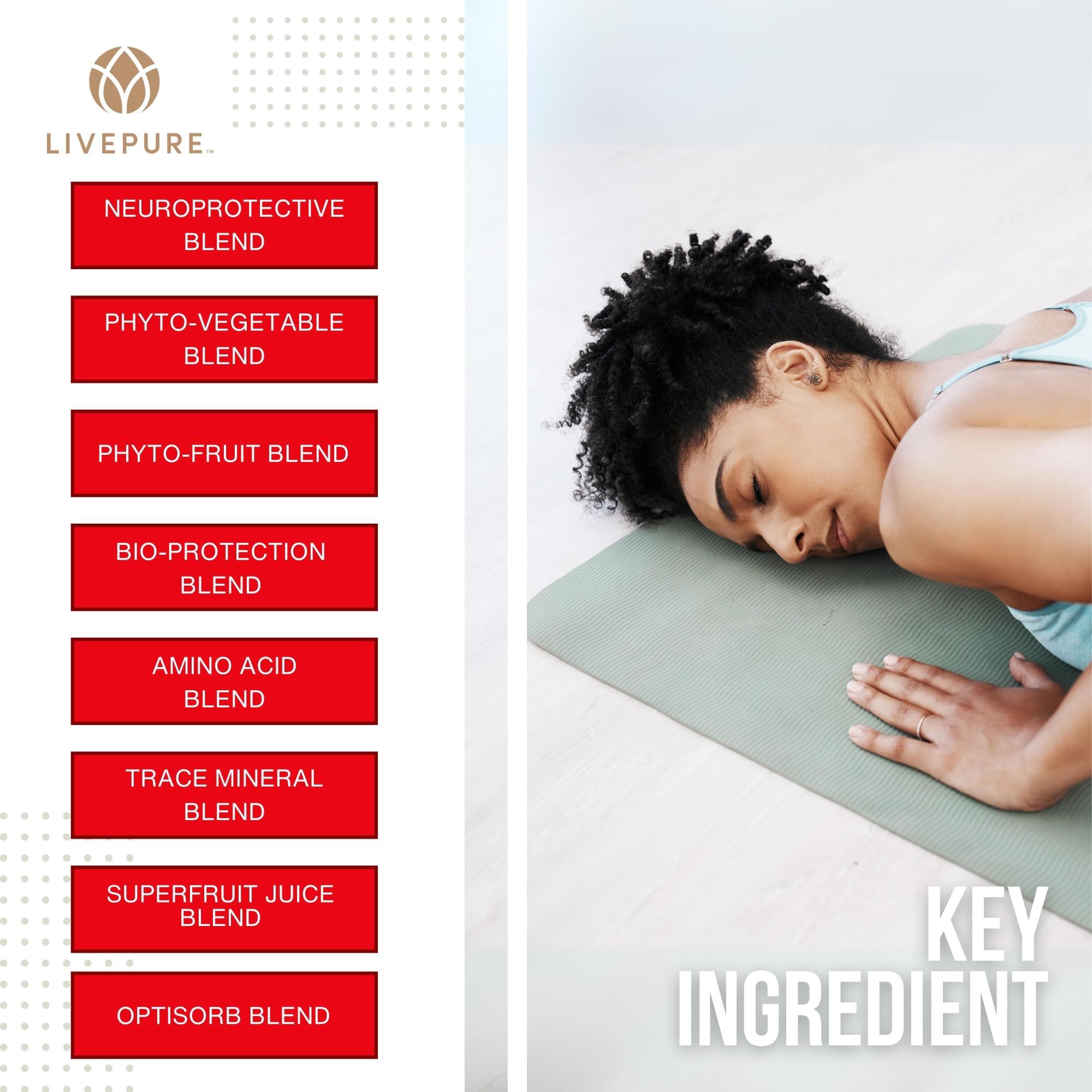 PURE Daily Build | 120 Capsules | Advanced Multivitamin Supplement | Enhanced with Essential Vitamins, Minerals PUREUS supplements