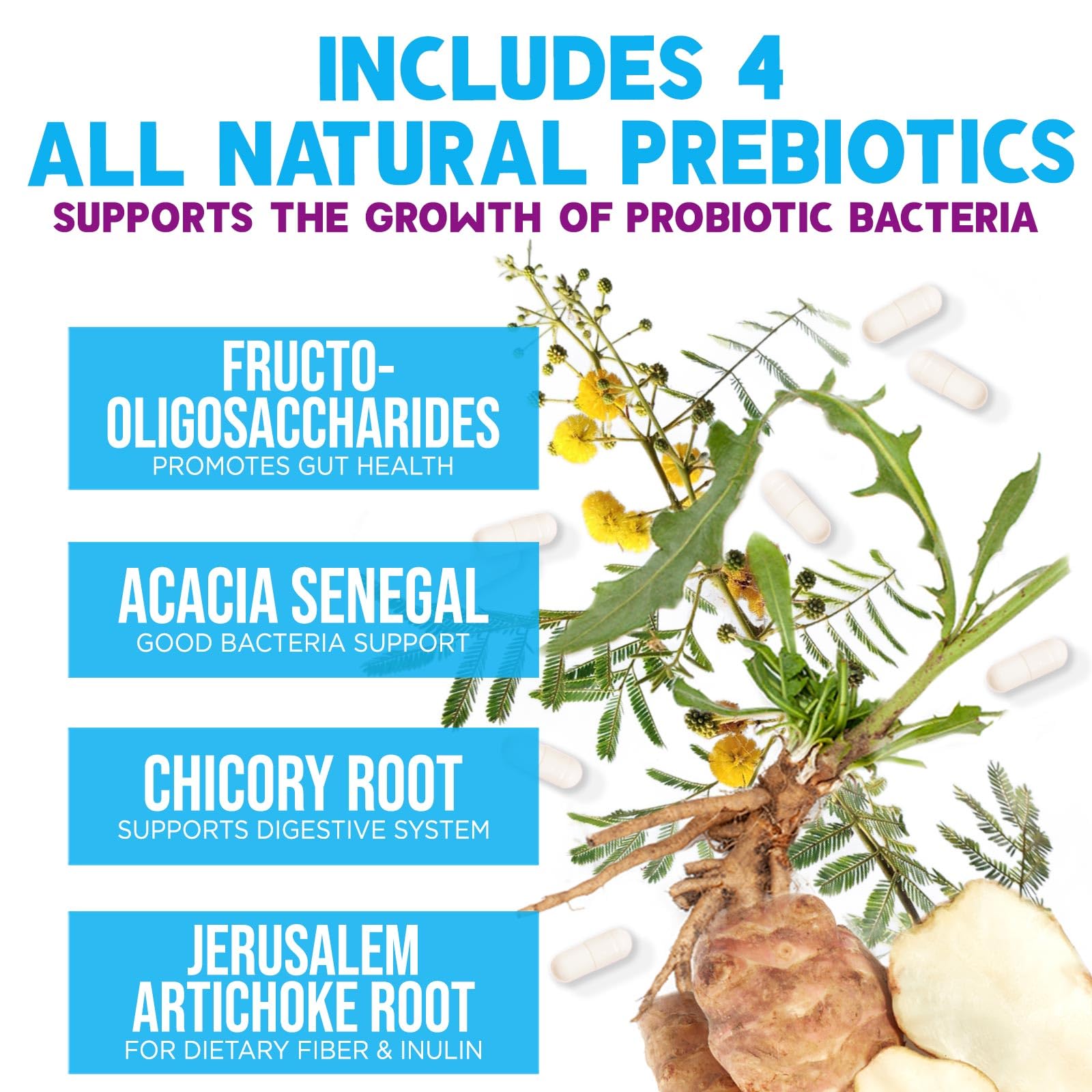 Probiotics 100 Billion CFU Per Serving - 10 Probiotic Strains & Prebiotics - Digestive Gut Health, Immune Support & Occasional Constipation, Gas & Bloating - Daily Supplement For Adults - 60 Capsules Nature's NutritionAu supplements
