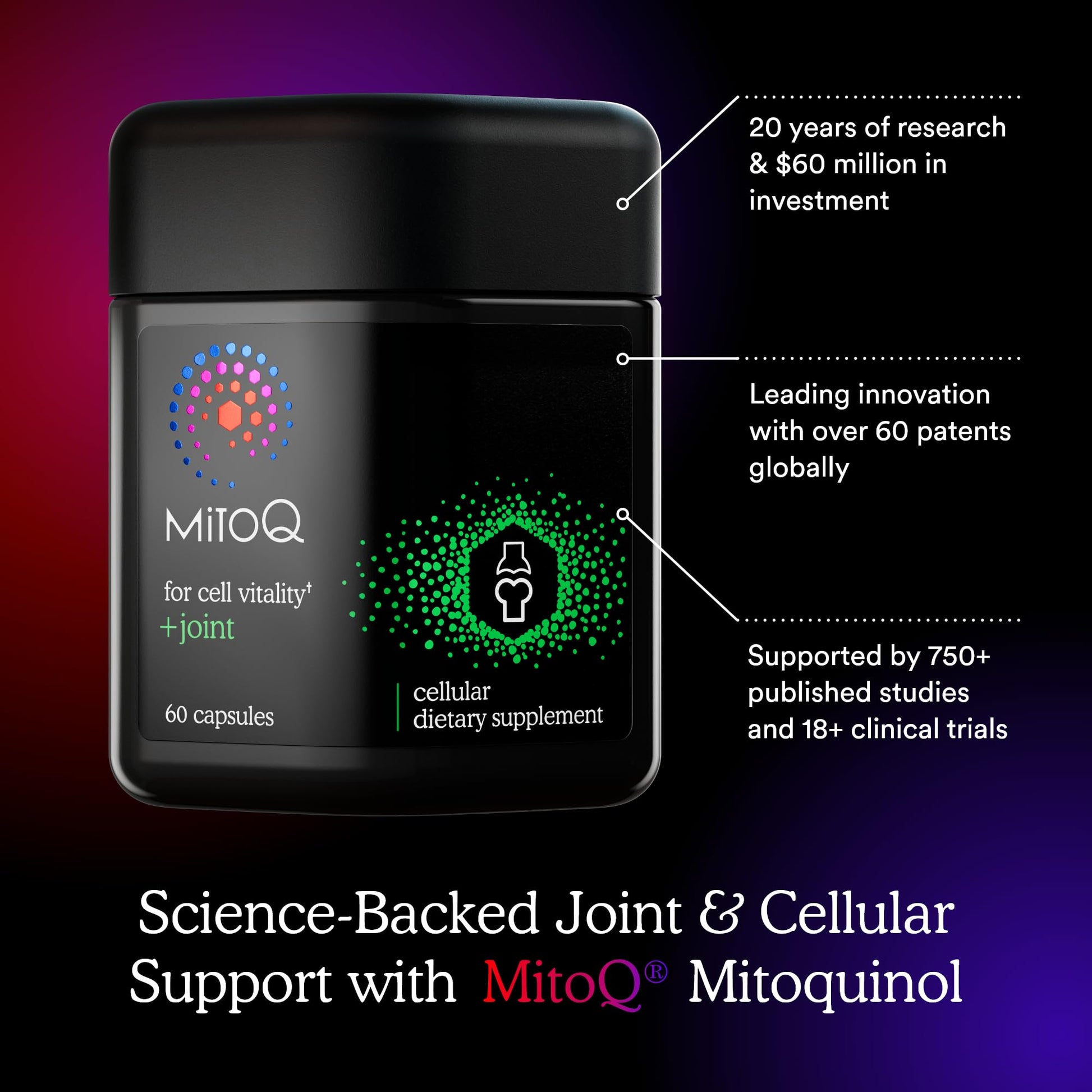 MitoQ +Joint Advanced CoQ10 Antioxidant Supplement - Contains Mitoquinol Mesylate & Green Lipped Mussel Omega Oil Extract - Supports Healthy Joint, Mobility and Cell Vitality (60 Softgel Capsules) MitoQAu supplements