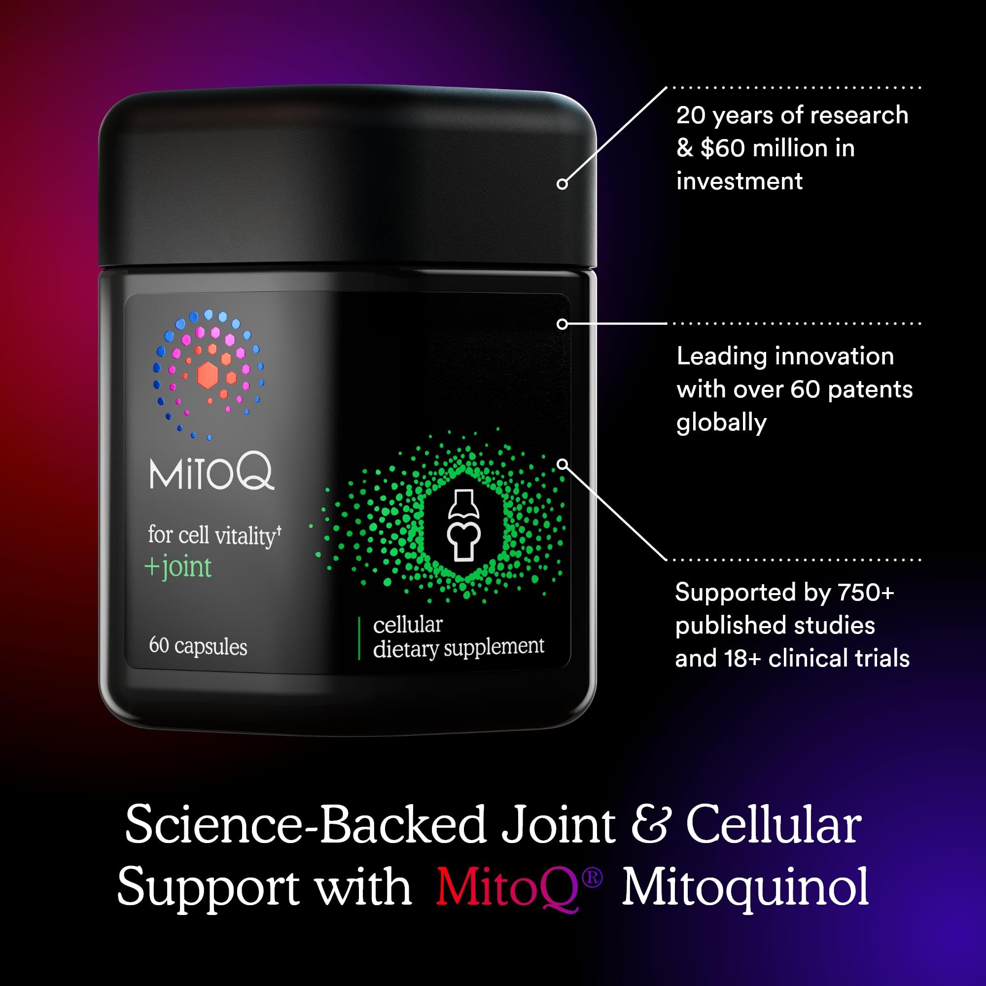 MitoQ +Joint Advanced CoQ10 Antioxidant Supplement - Contains Mitoquinol Mesylate & Green Lipped Mussel Omega Oil Extract - Supports Healthy Joint, Mobility and Cell Vitality (60 Softgel Capsules) MitoQAu supplements