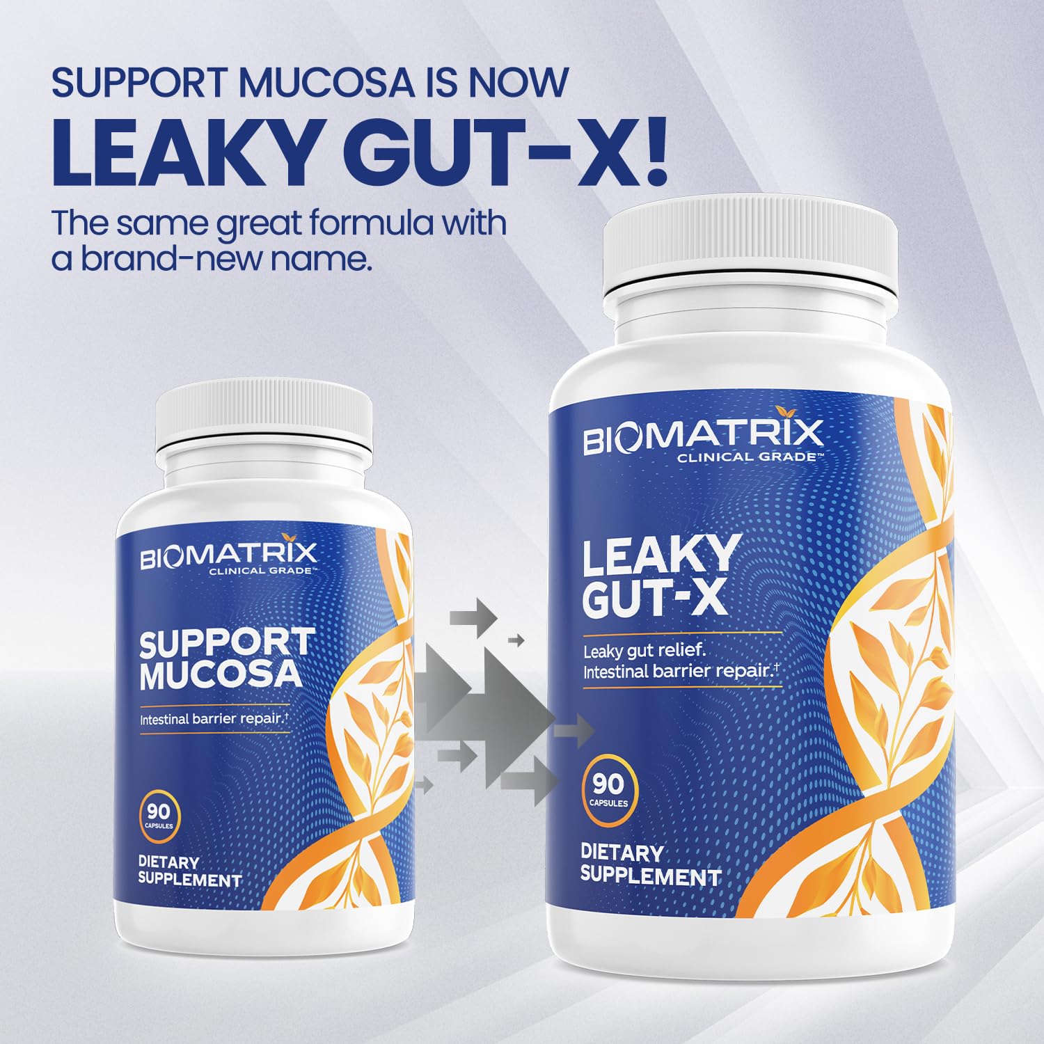 BioMatrix Leaky Gut Repair Supplement w/Glutamine, Quercetin, Cat's Claw, MSM, SIBO, Prebiotic Support, Intestinal Barrier Revive for Men and Women | 60-Day Supply – Leaky Gut-X BioMatrixAu supplements