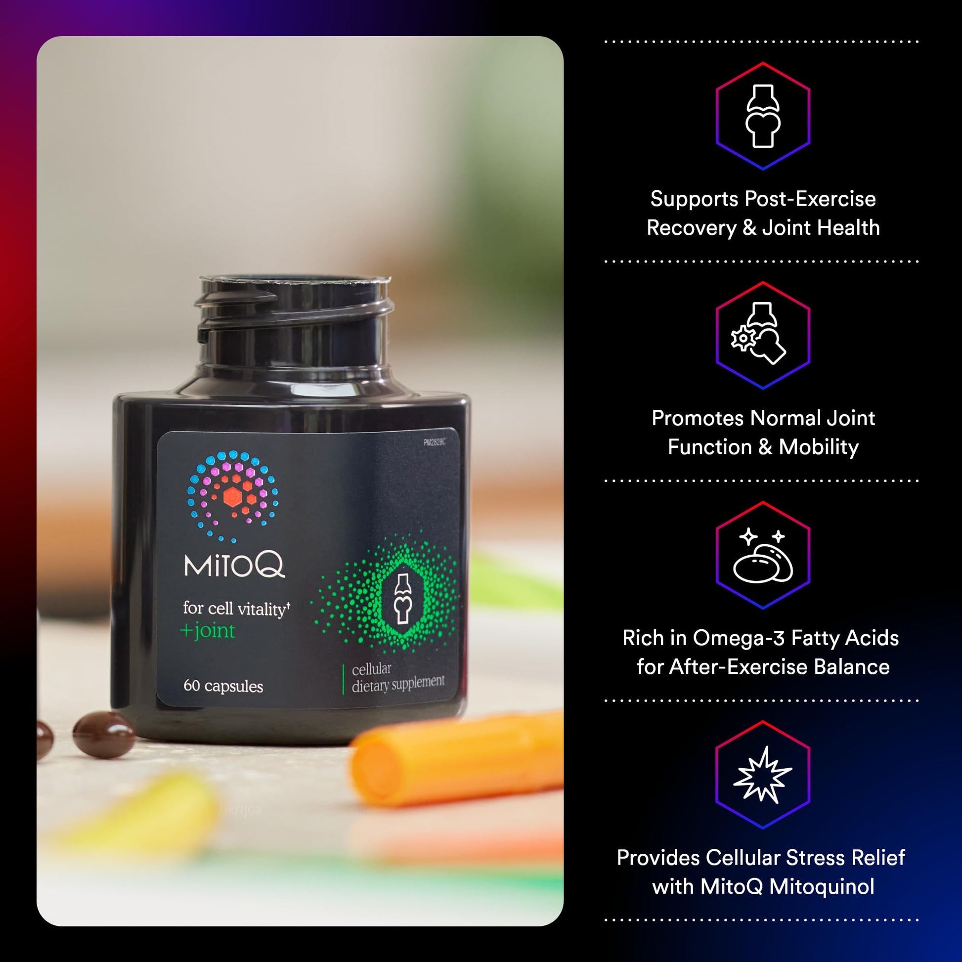 MitoQ +Joint Advanced CoQ10 Antioxidant Supplement - Contains Mitoquinol Mesylate & Green Lipped Mussel Omega Oil Extract - Supports Healthy Joint, Mobility and Cell Vitality (60 Softgel Capsules) MitoQAu supplements