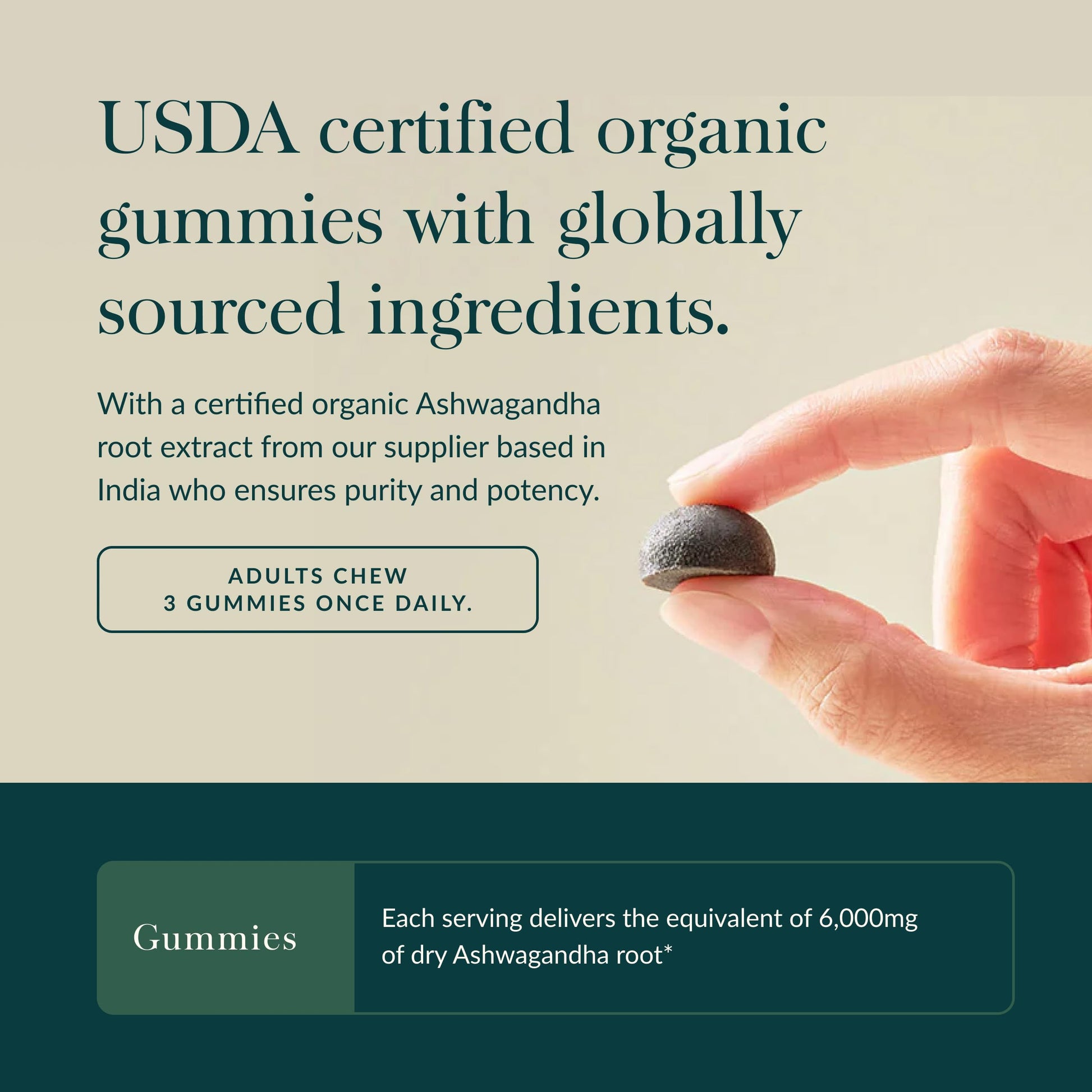 Gaia Herbs Organic Ashwagandha Gummies - Stress Support* - Made with Cinnamon & Ginger - Gluten Free & Vegan - 45 Count (15 Servings) Gaia HerbsAu supplements