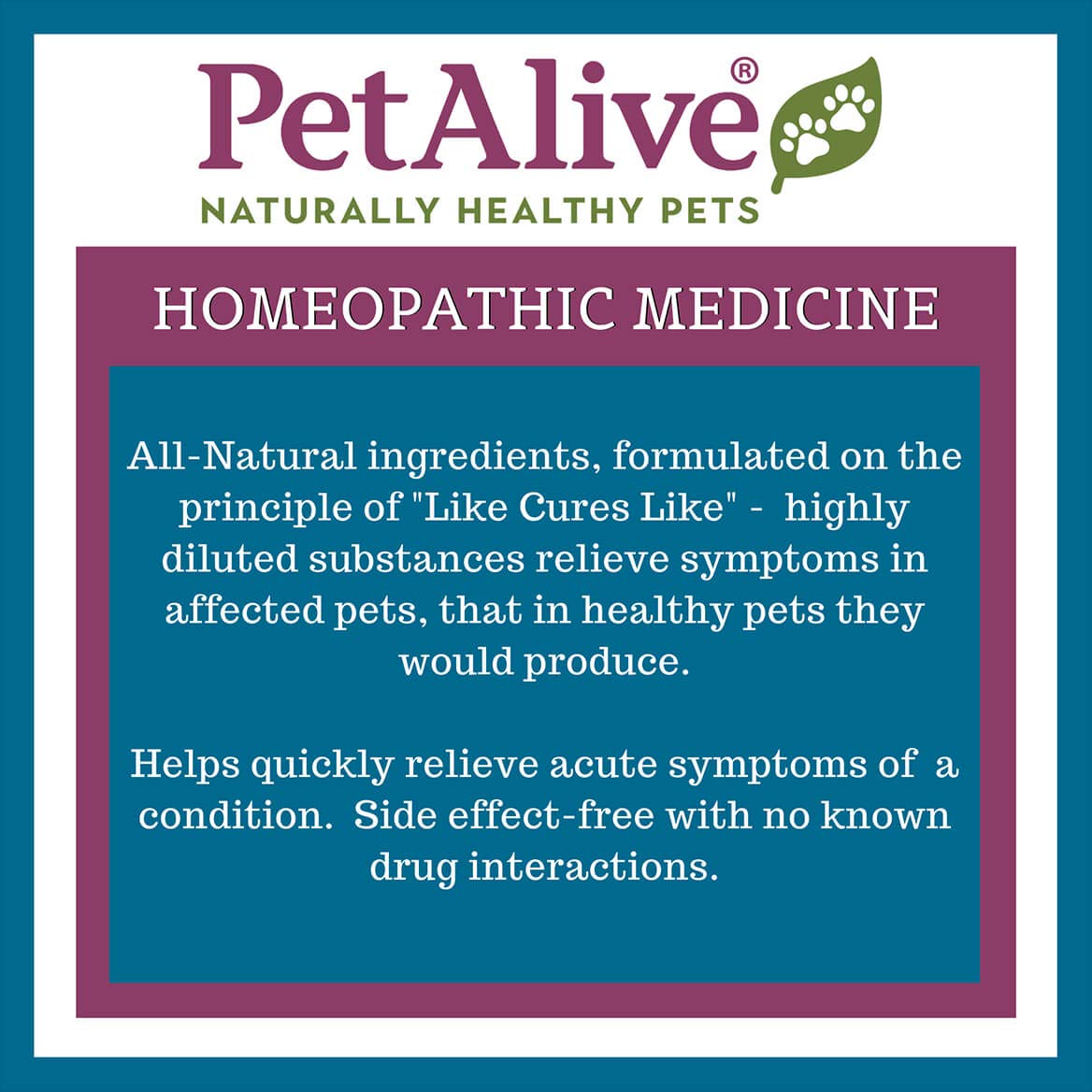 PetAlive Muscle and Joint Support-M - Natural Homeopathic Formula for Joint Pain and Stiffness in Pets - Supports Joint Health and Movement in Dogs and Cats - 59 mL PetAliveAu supplements