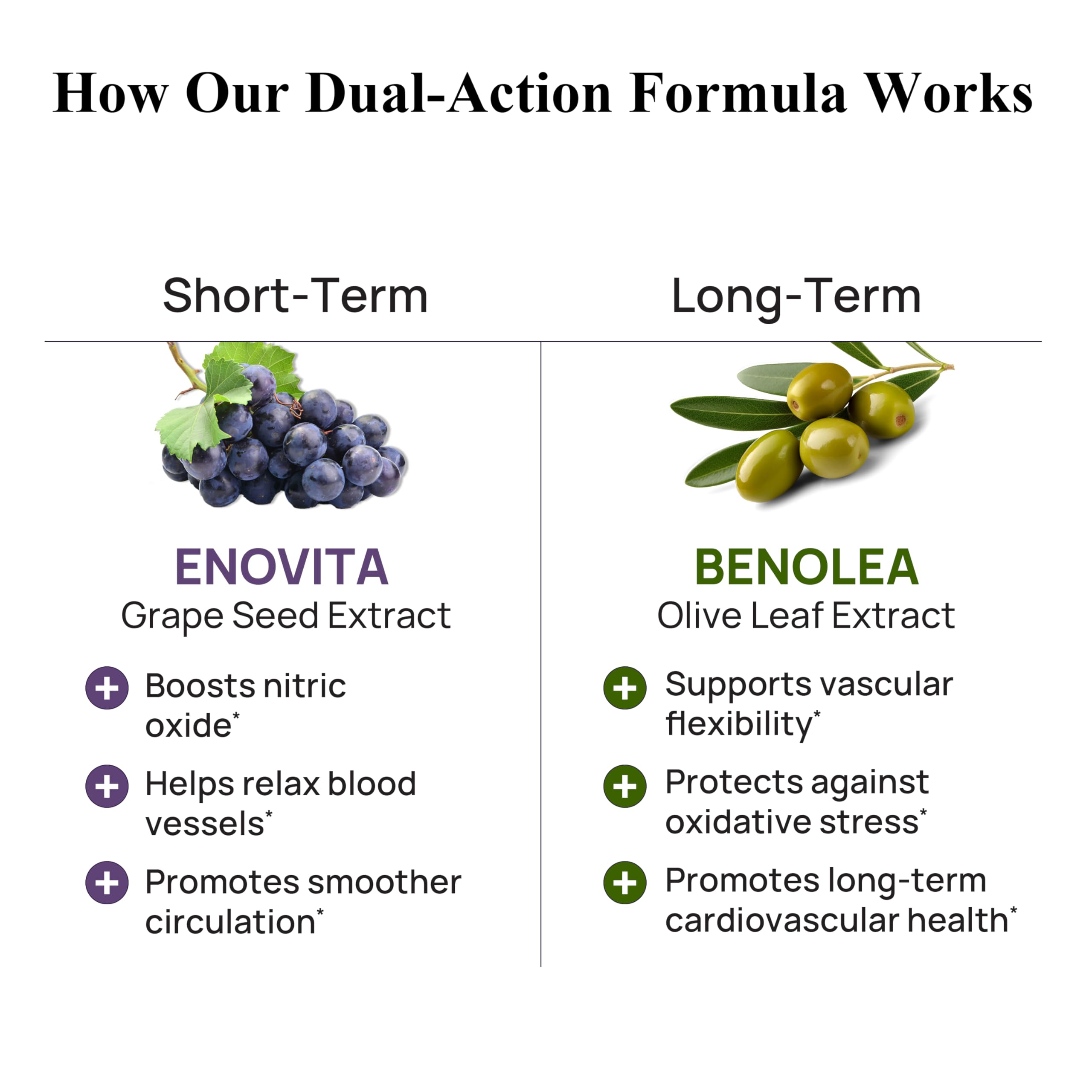 Durable Blood Pressure – Benolea Olive Leaf & Enovita Grape Seed Extract – Healthy Circulation, Nitric Oxide & Artery Support – Doctor Formulated, Vegan, Non-GMO, Made in USA (60 Capsules) DurableAu supplements