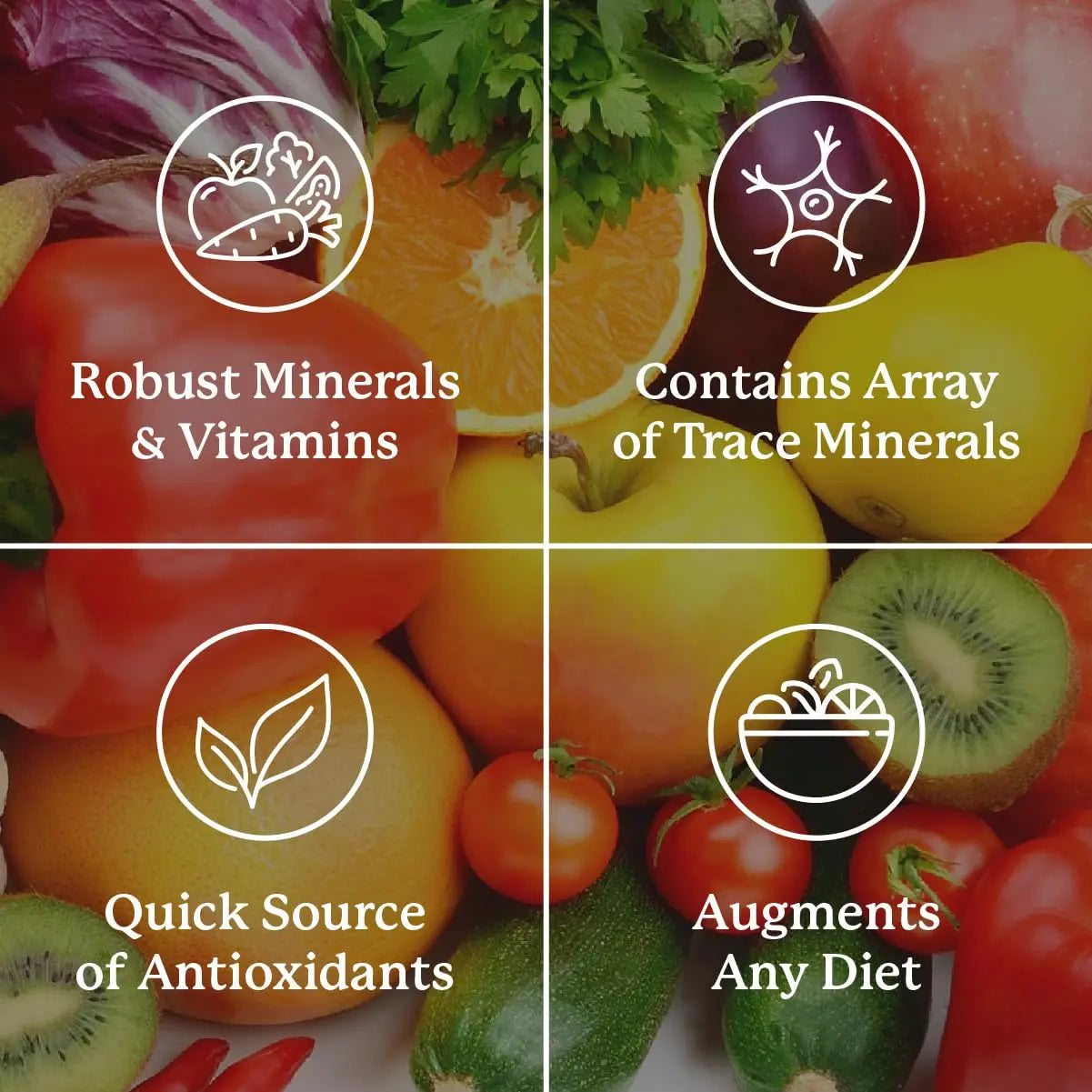 Nature's Sunshine Super Supplemental: Complete Multivitamin with Minerals, Antioxidants & More for Nutritional Gaps, Overall Health, Immune & Energy Support. 120 Tabs Nature's Sunshinenz supplements