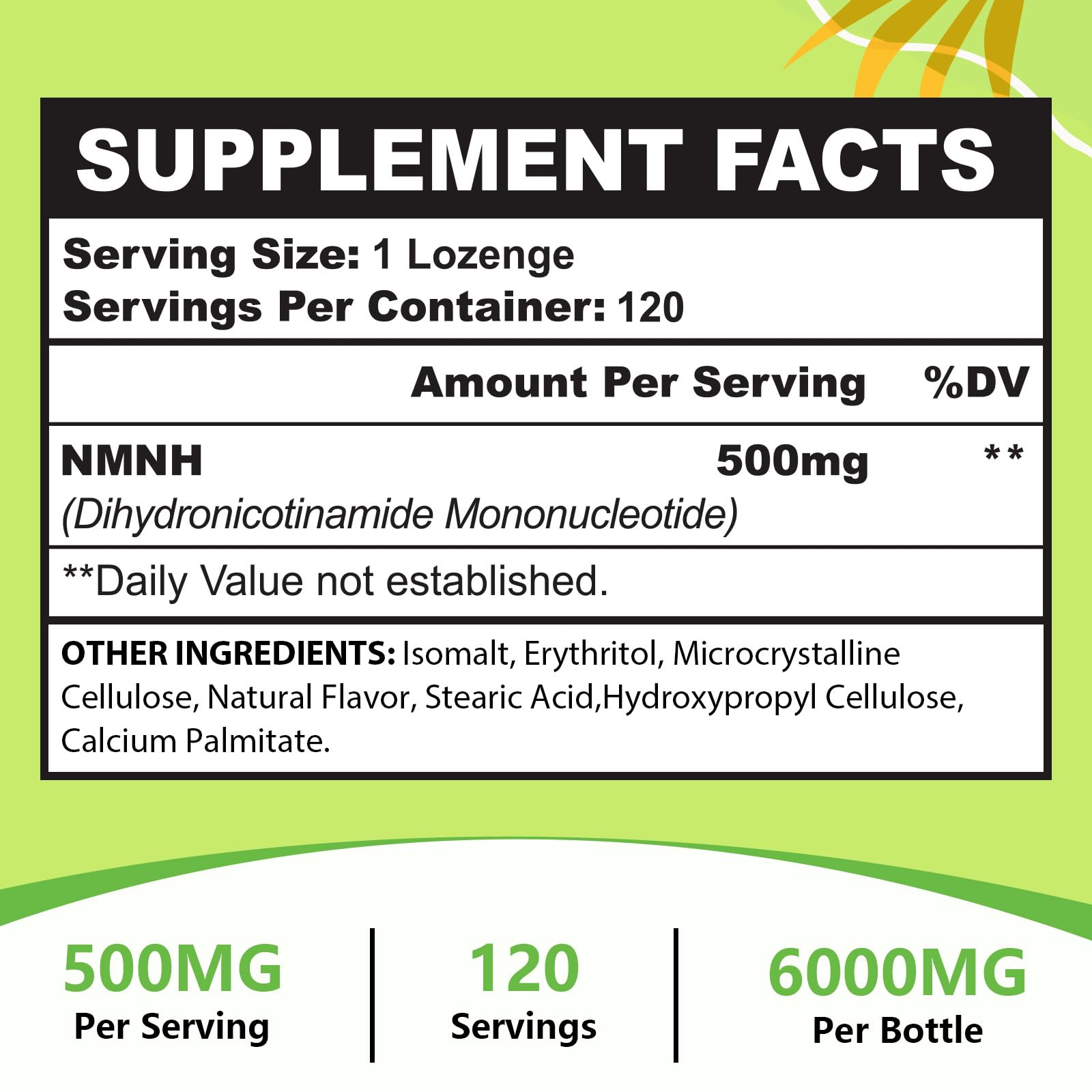 Sublingual NMNH 500mg (Dihydronicotinamide Mononucleotide) (120 Servings, NMNH 500mg per Serving) NAD Supplement to Boost NAD Levels as We Age, for Anti-Aging, Energy, Immunity, Focus - 120 Count UrsinquilAu supplements