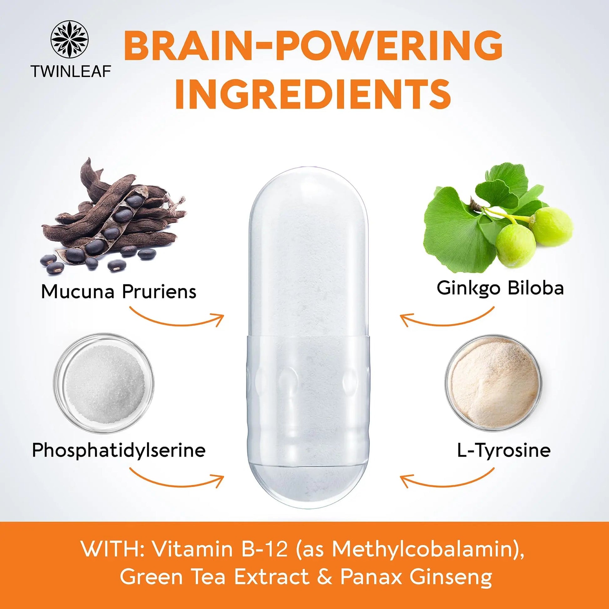TWINLEAF Dopamine Brain Support Supplement, 1000 mg Blend - Made in USA - with DMAE, Vitamin B12 and L-Tyrosine TWINLEAFAu supplements