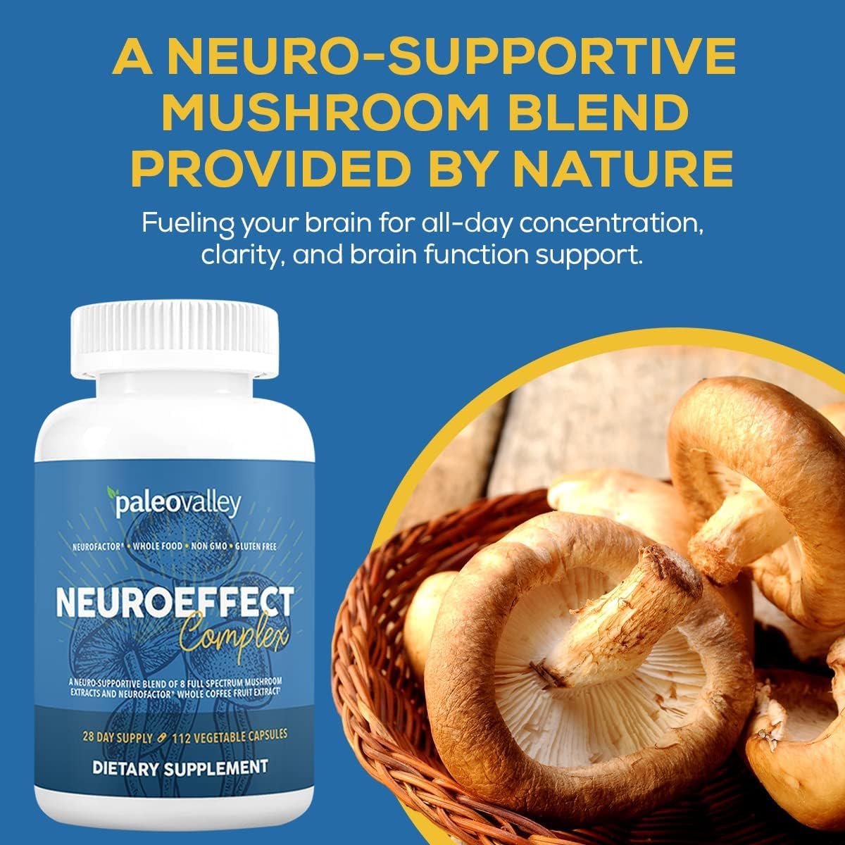 Paleovalley NeuroEffect - Neuro Mushroom Coffee Nutritional Supplement for Focus, Memory, and Energy Support - 28-Day Supply - 8 Full Spectrum Mushroom and Whole Coffee Fruit Extracts PaleovalleyUS supplements