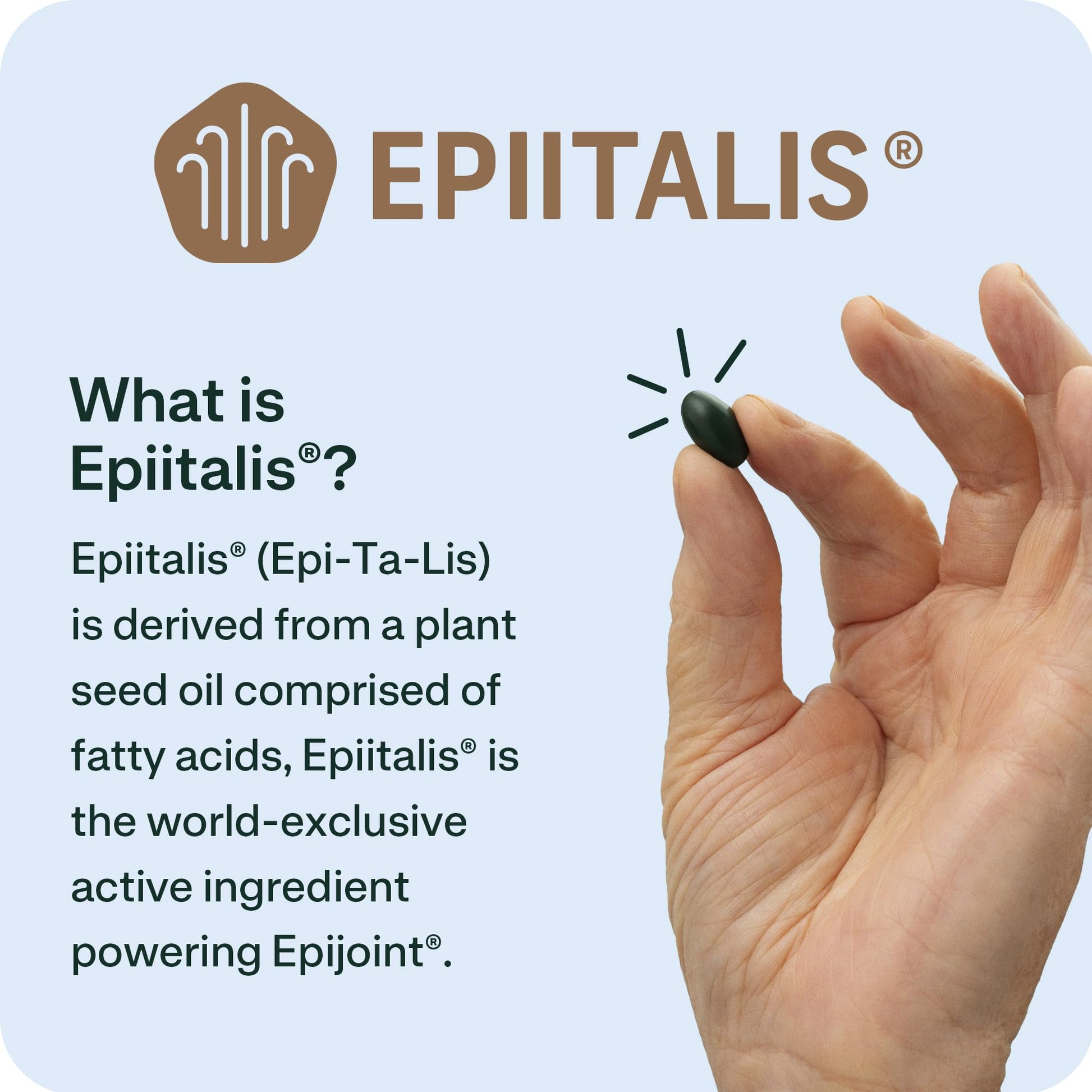 EPIJOINT Joint Support – Supports Mobility & Osteoarthritis – May Help Reduce Inflammation with Patented Epiitalis – 60 Capsules EPIJOINTAu supplements