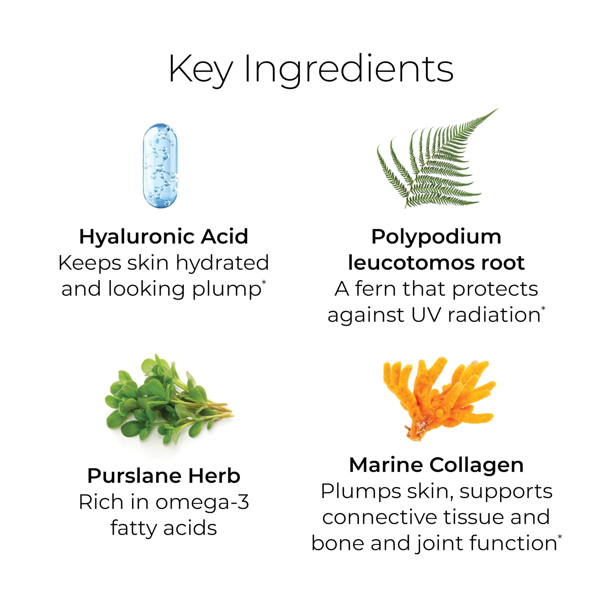 Hush & Hush TimeCapsule Multivitamin, Women's Multivitamin, Men's Multivitamin, Clean Nutraceuticals Supplements That Contains Hyaluronic Acid Hush & HushUS supplements