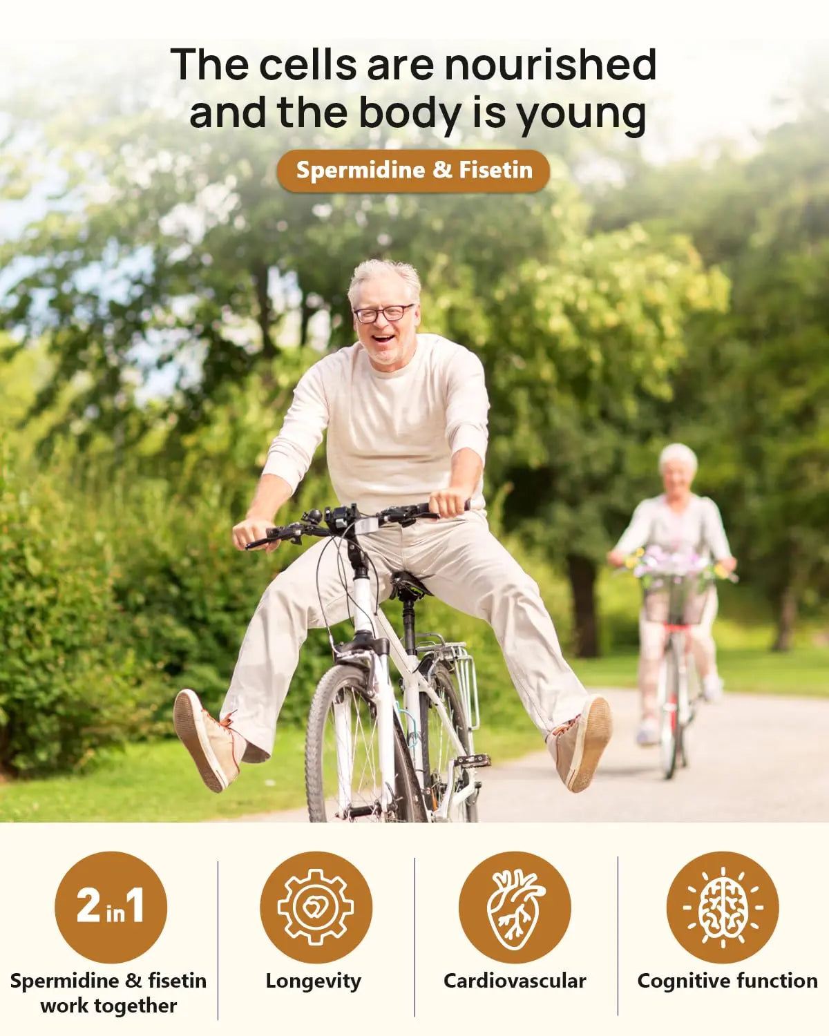 Spermidine 20mg + Fisetin 300mg + Akkermansia for Women丨Cellular Renewal, Metabolic & Gut Health Anven Healthnz supplements