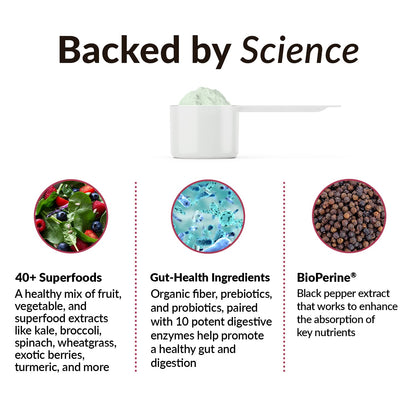 FORCE FACTOR Smarter Greens Daily Wellness Powder to Support Energy, Immunity & Digestion Force FactorUS supplements
