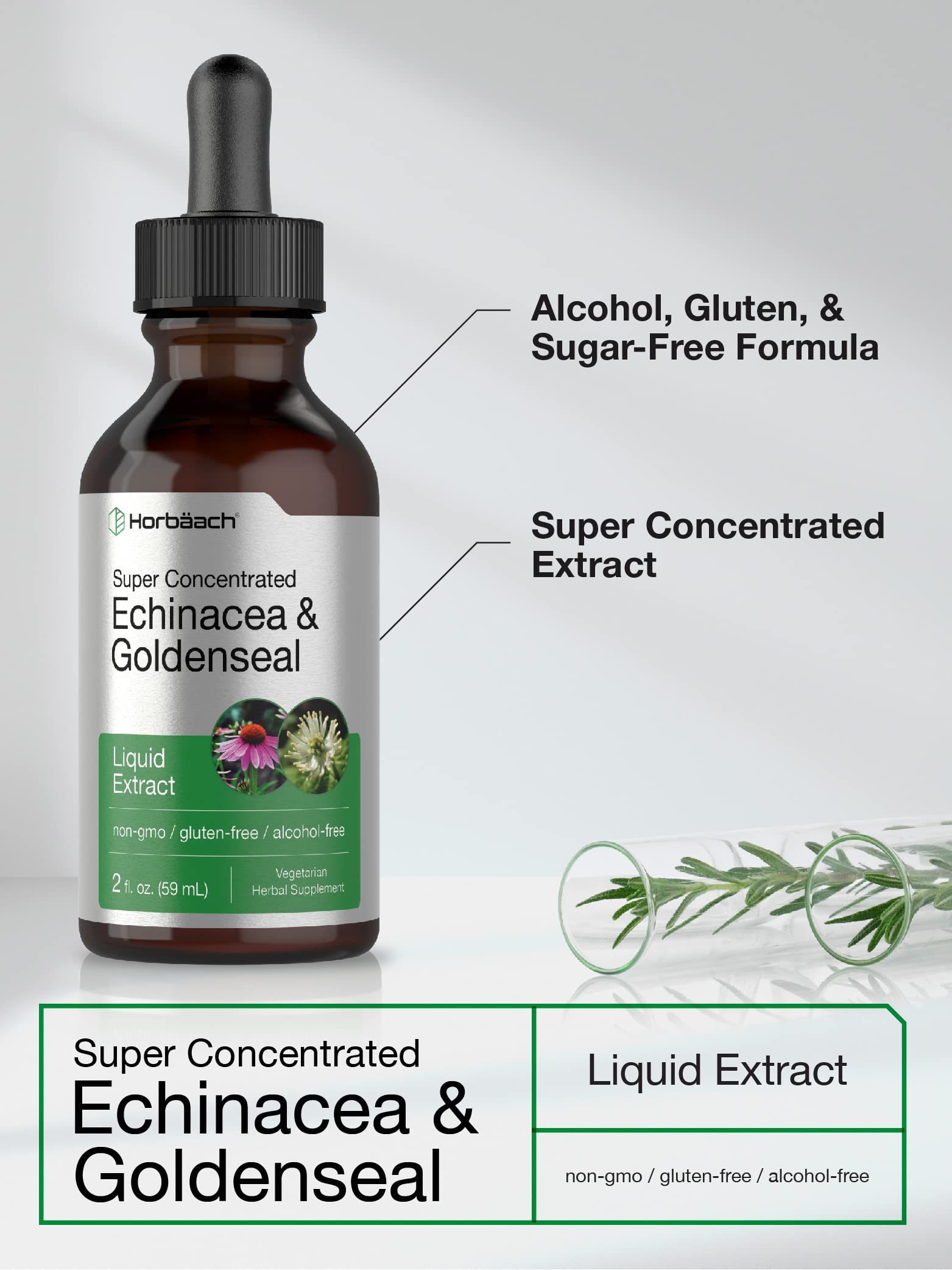 Echinacea Goldenseal Liquid Extract | 2 fl oz | Alcohol Free Tincture Drops | Vegetarian HorbäachAu supplements