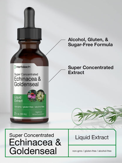 Echinacea Goldenseal Liquid Extract | 2 fl oz | Alcohol Free Tincture Drops | Vegetarian HorbäachUS supplements