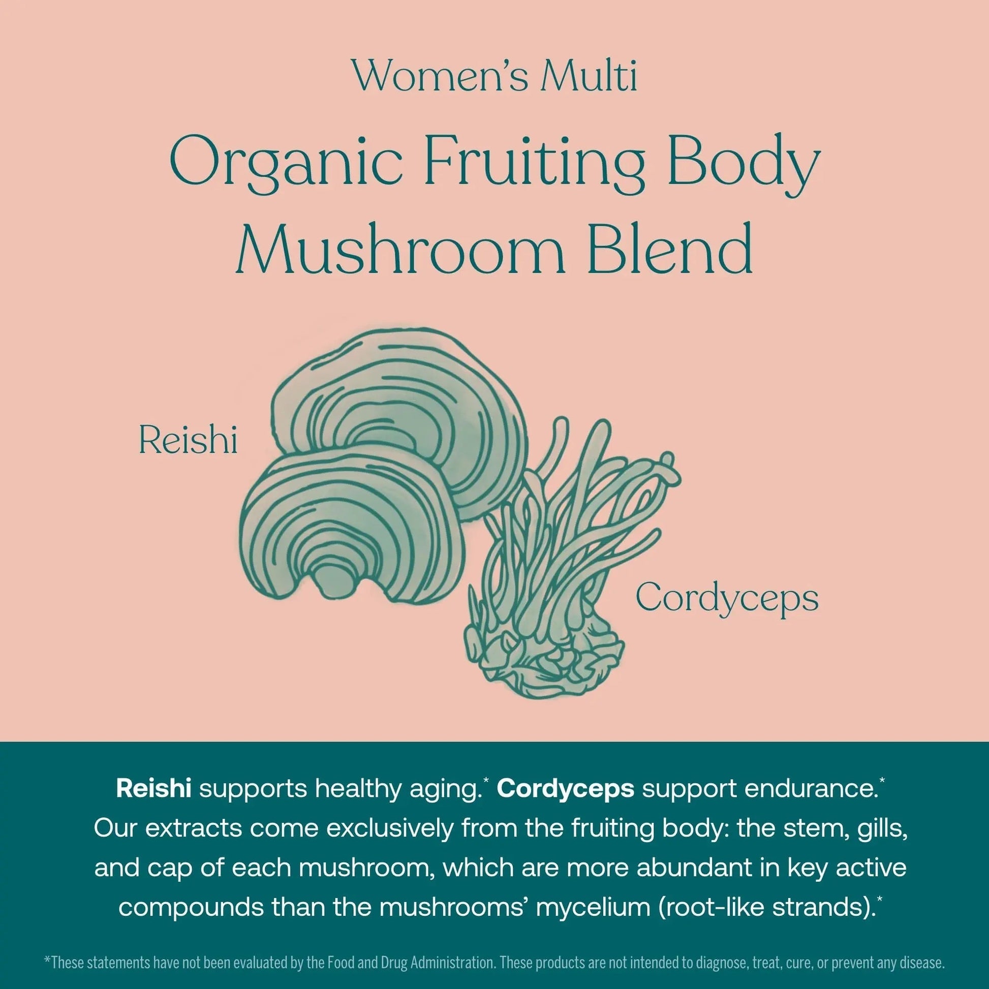 True Grace One Daily Men’s Multivitamin (30 Vegan Tablets) + One Daily Women’s Multivitamin (30 Vegan Tablets) - Non-GMO & Gluten Free - 30-Day Supply of Each True GraceAu supplements