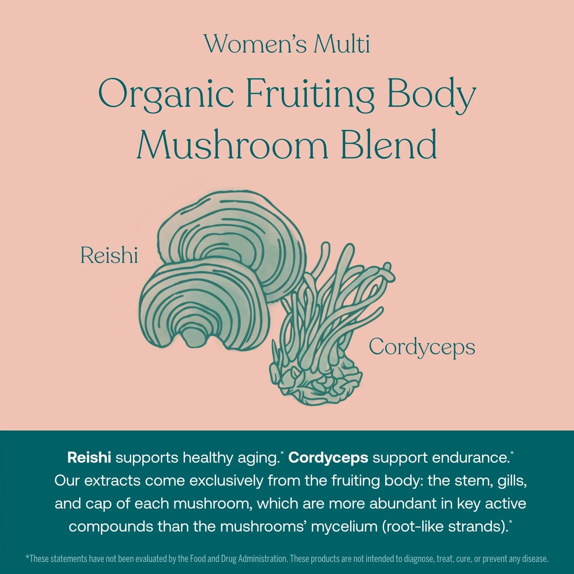 True Grace One Daily Men’s Multivitamin (30 Vegan Tablets) + One Daily Women’s Multivitamin (30 Vegan Tablets) - Non-GMO & Gluten Free - 30-Day Supply of Each True GraceAu supplements