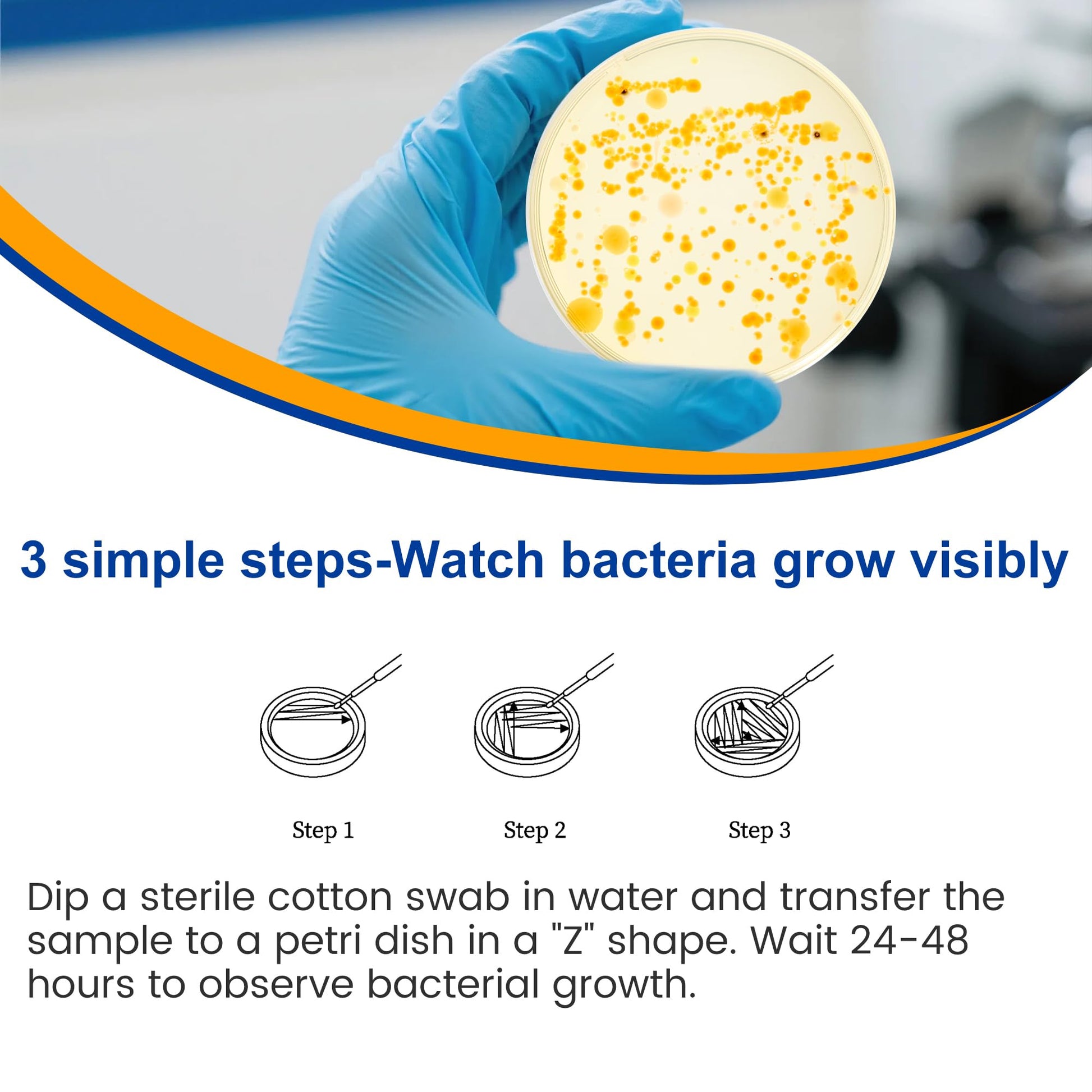 Bacteria Test Kits for Drinking Water - 12 Tests Detect Coliform, E.coli & All Bacteria | Home Quality Testing Kit for Well, Tap, Pool, Hot Tub & City Water | Easy DIY Tester with Free Lab Analysis FunhaostarAu supplements