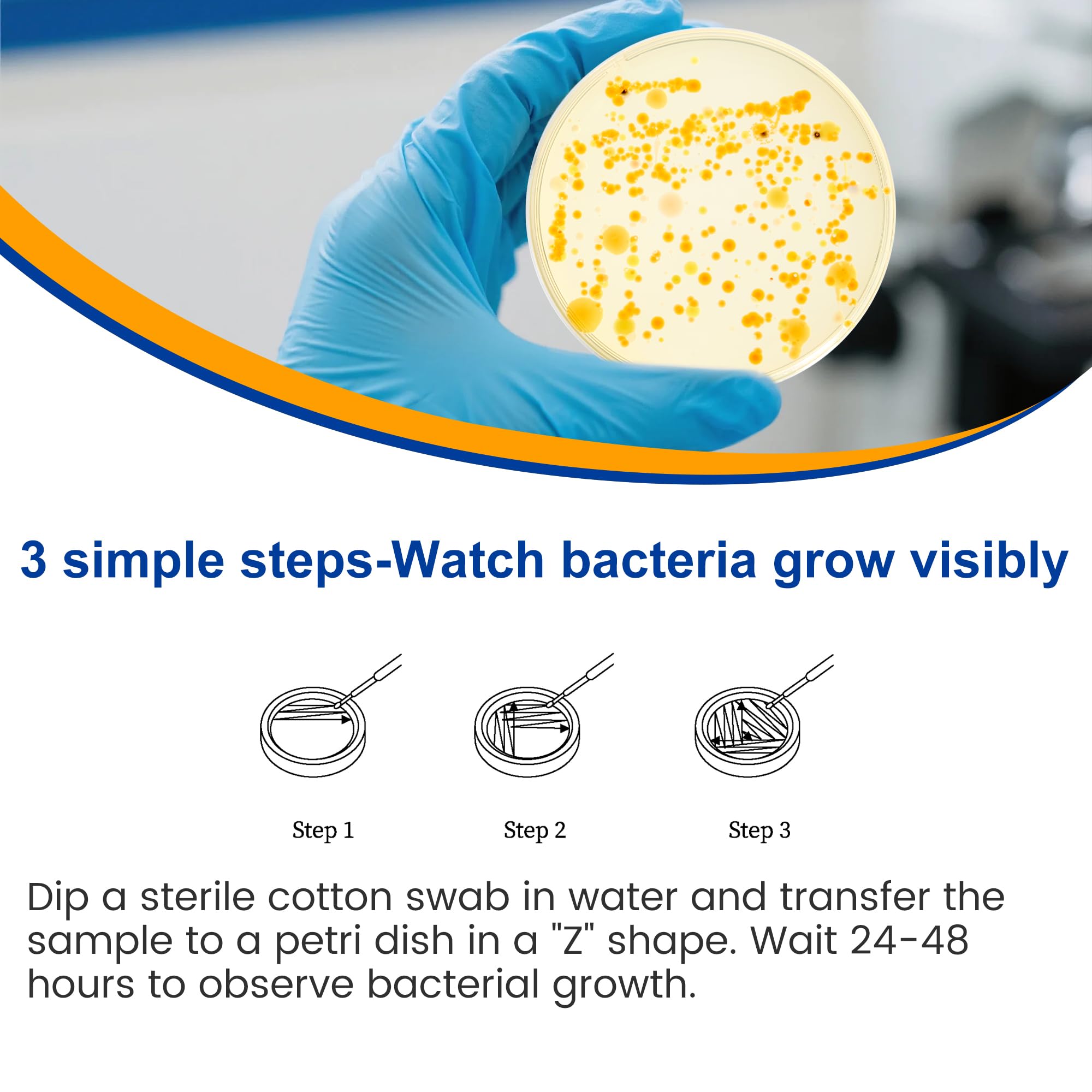 Bacteria Test Kits for Drinking Water - 12 Tests Detect Coliform, E.coli & All Bacteria | Home Quality Testing Kit for Well, Tap, Pool, Hot Tub & City Water | Easy DIY Tester with Free Lab Analysis FunhaostarAu supplements