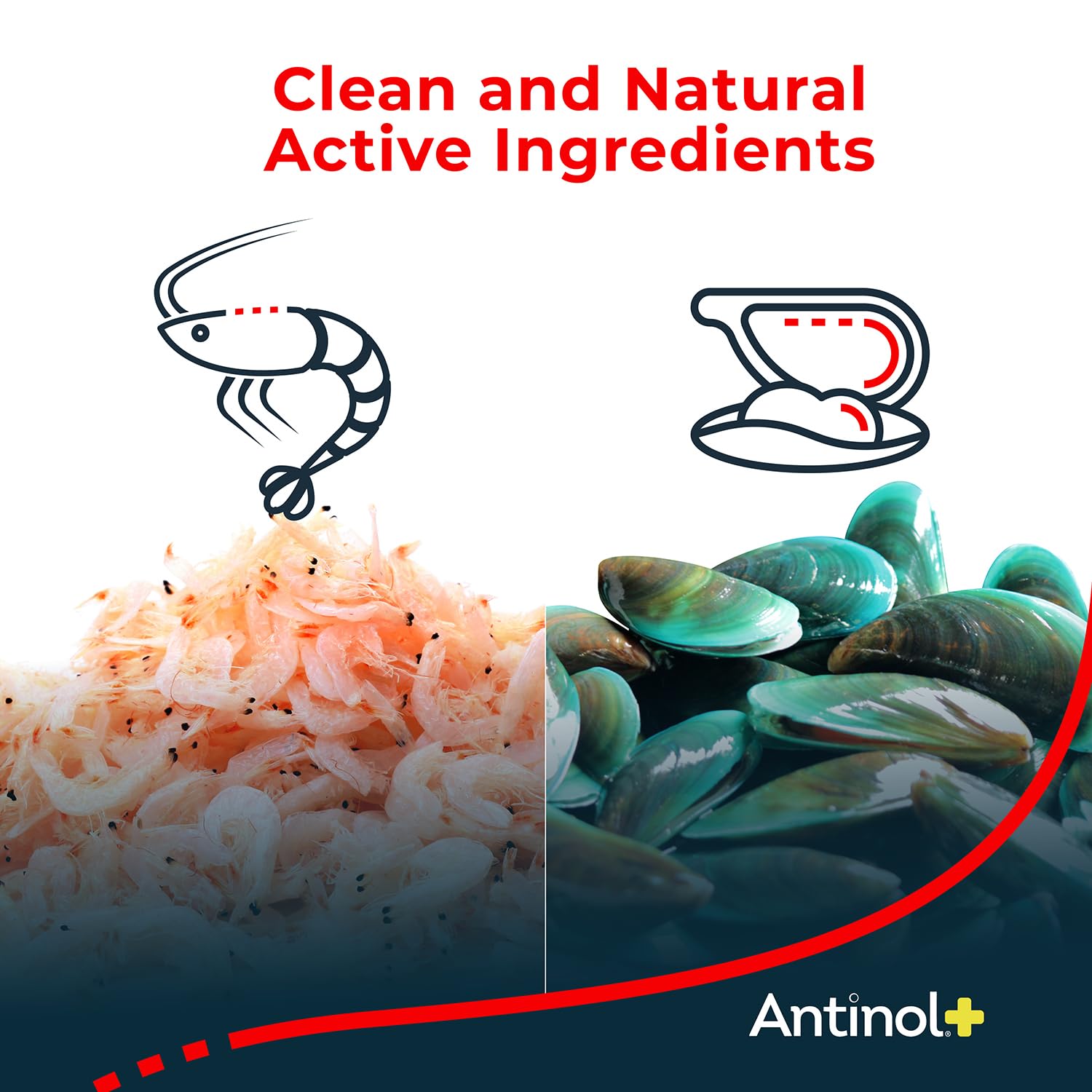 Antinol Plus, Mobility, Hip, and Joint Supplement for Dogs, Green-Lipped Mussels and Krill Oil - Dog Joint Supplement, Better and Faster Than Glucosamine and Chondroitin, 120 Soft Gels AntinolAu supplements