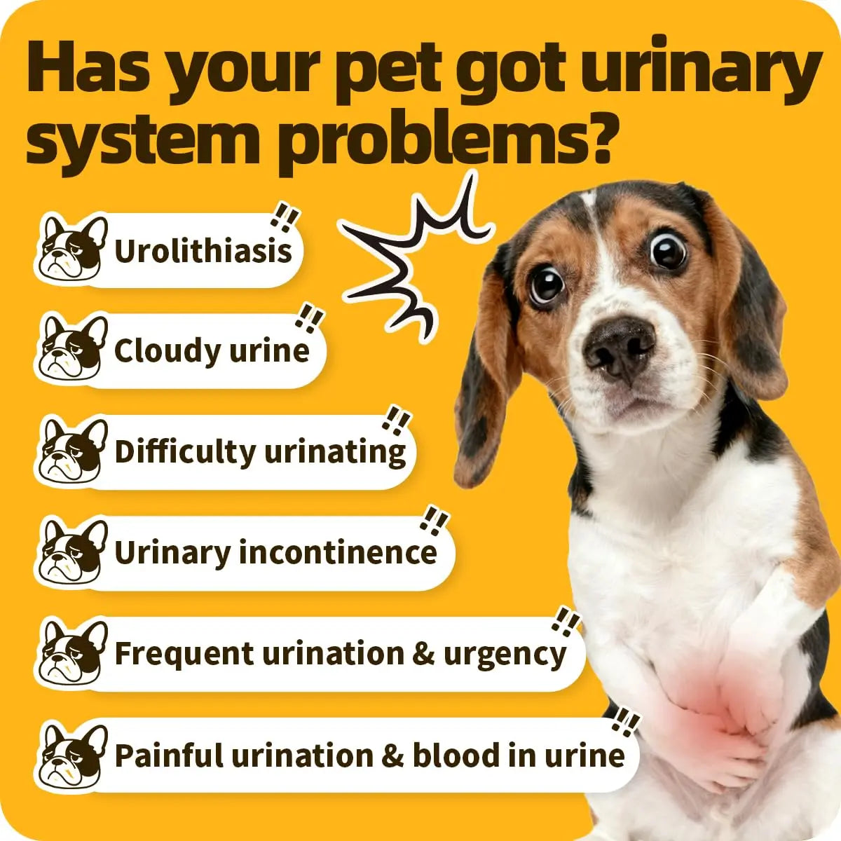 Cassiel Pet Bladder Supports Chews for Urinary Tract Health, Infection Treatments, Bladder Health, Dog UTI, Bladder Stones, Incontinence Support, Urinary Pain Relief for Cat & Dog 10 Chews (1 Bottle) Cassiel petAu supplements