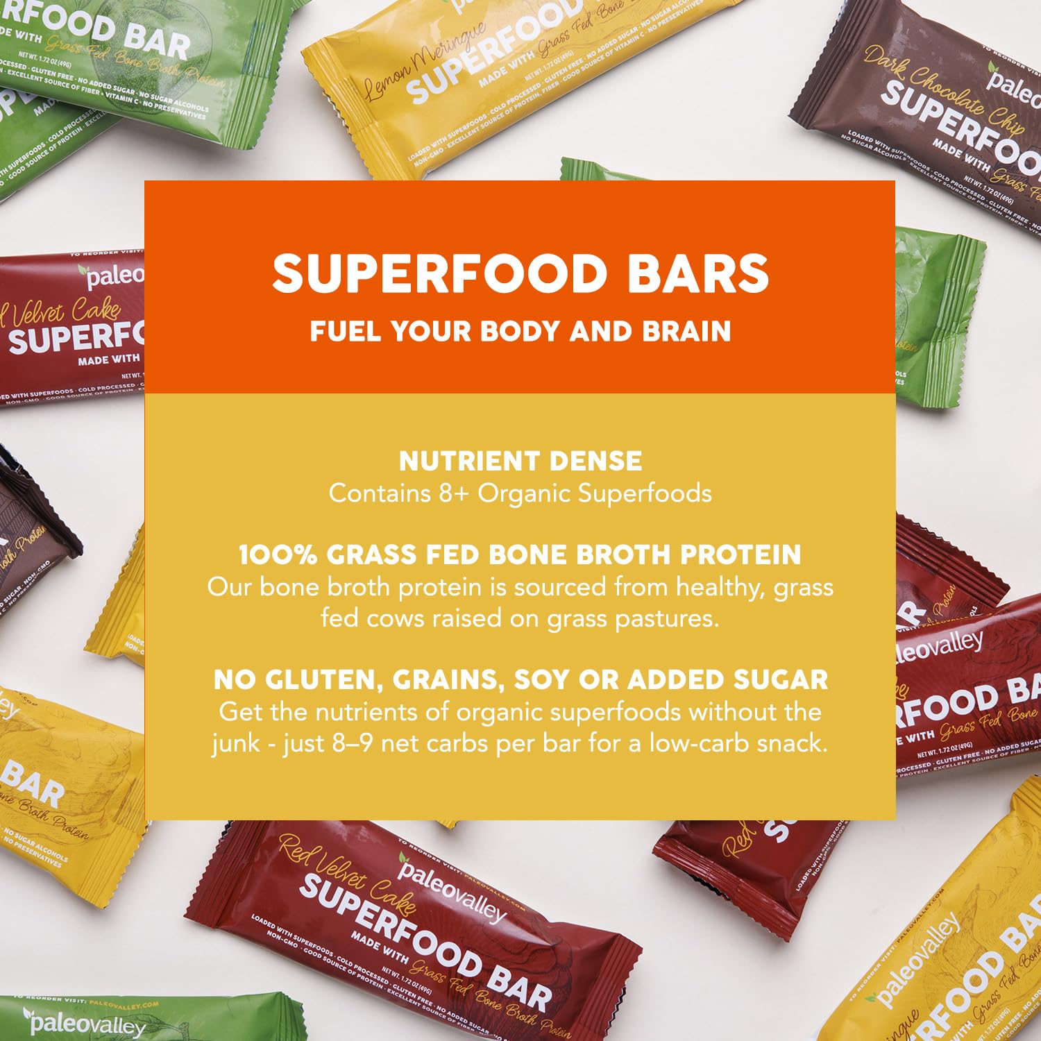 Paleovalley Superfood Bars – Lemon Meringue– 10 Pack – 9g Protein per Bar – Gluten-Free, Grain-Free, Paleo, Non-GMO – On-the-Go Snack PaleovalleyUS supplements
