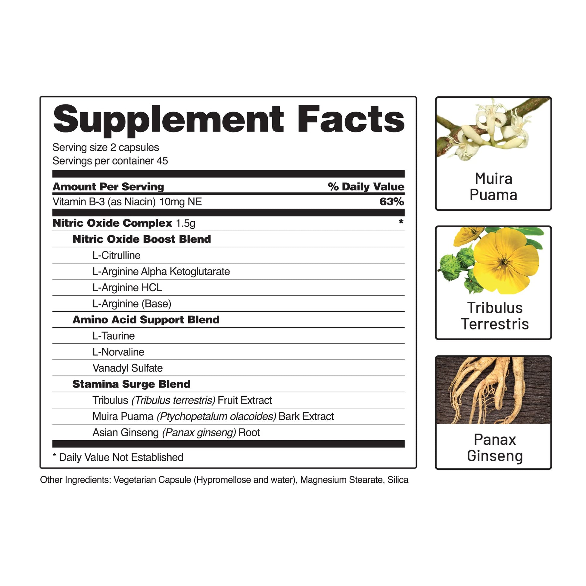 Snap Supplements Nitric Oxide Booster, Nitric Oxide Supplement for Blood Circulation Snap SupplementsUS supplements