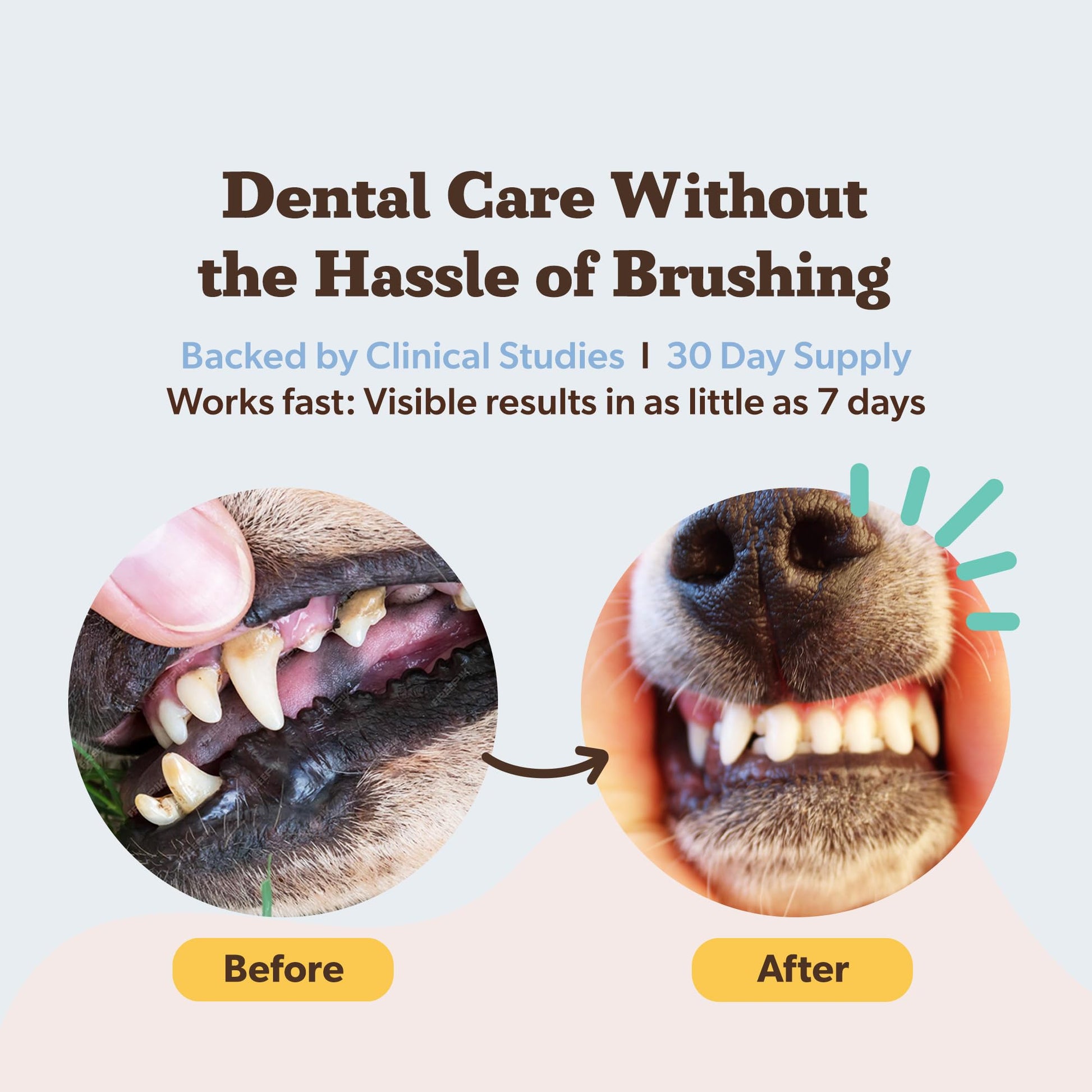 Natural Dog Company Dental Powder for Dogs – Freshens Breath & Helps Reduce Plaque & Tartar, Natural No-Brushing Canine Oral Health Postbiotic Supplement, Vet Formulated, Made in USA, 30-Day Supply Natural Dog CompanyAu supplements