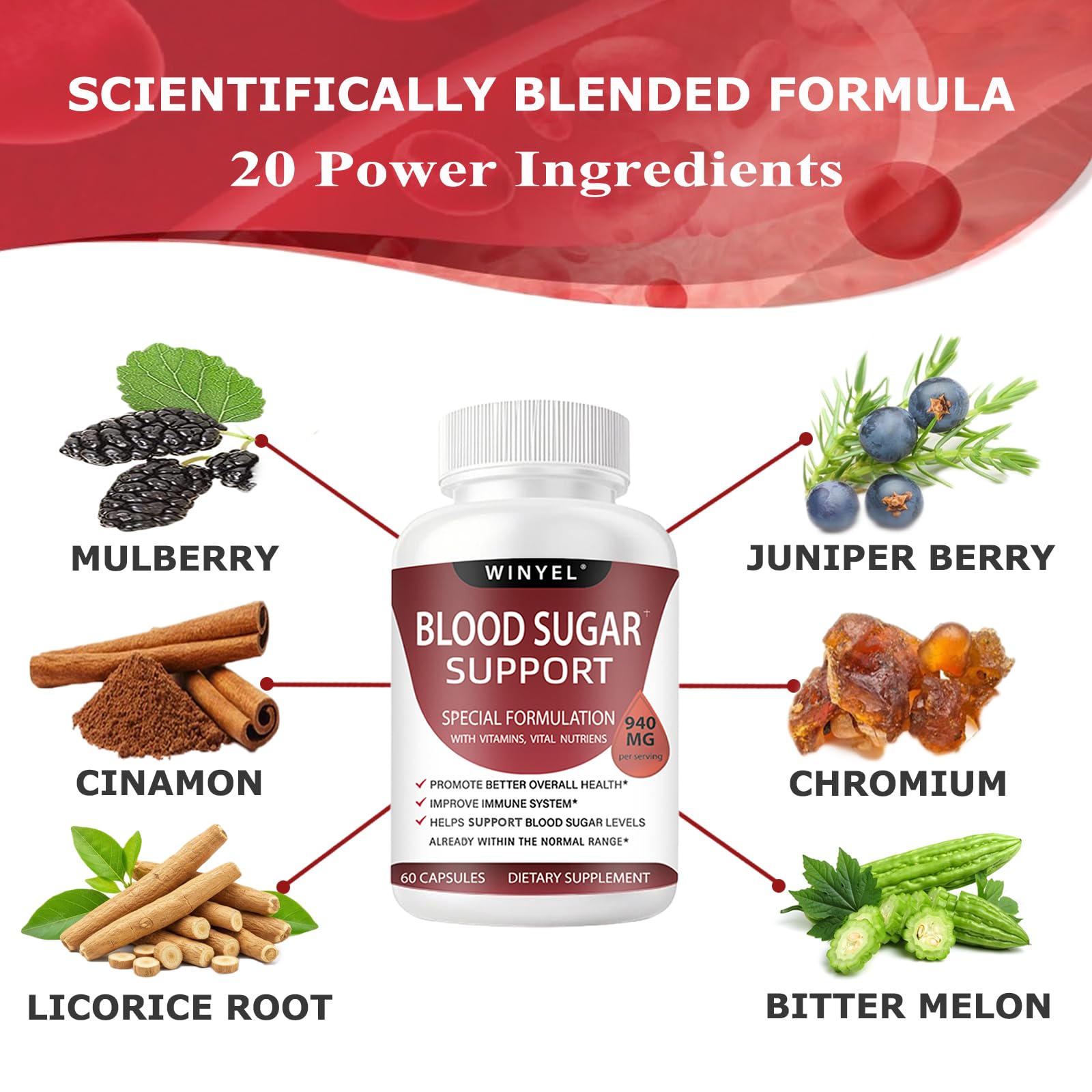 WINYEL Blood Sugar Complex Supplement - with Cinnamon, Bitter Melon, Chromium, Mulberry, Alpha Lipoic Acid, 60 Capsules WINYELAu supplements