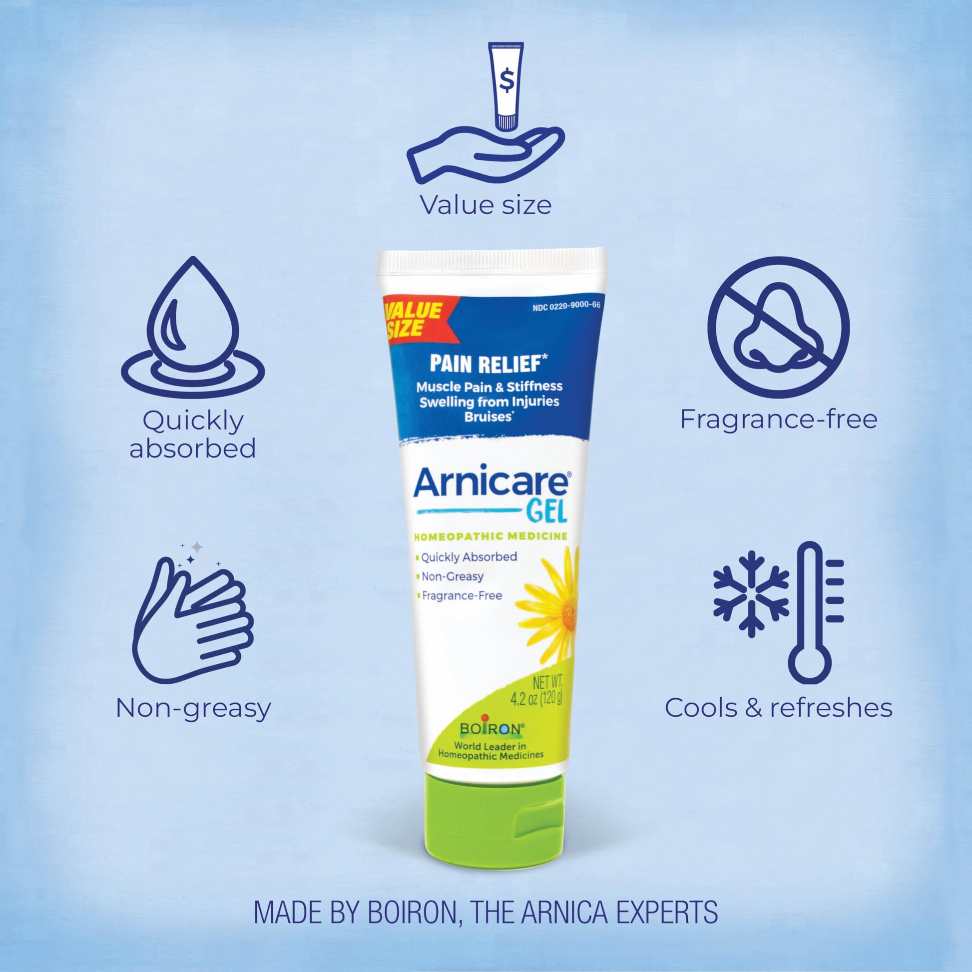 Boiron Arnicare Gel 4.2 oz (Twin Pack) for Joint Pain Relief, Muscle Pain, Muscle Soreness, and Swelling from Bruises or Injury - Non-Greasy and Fragrance-Free Arnica BoironAu supplements