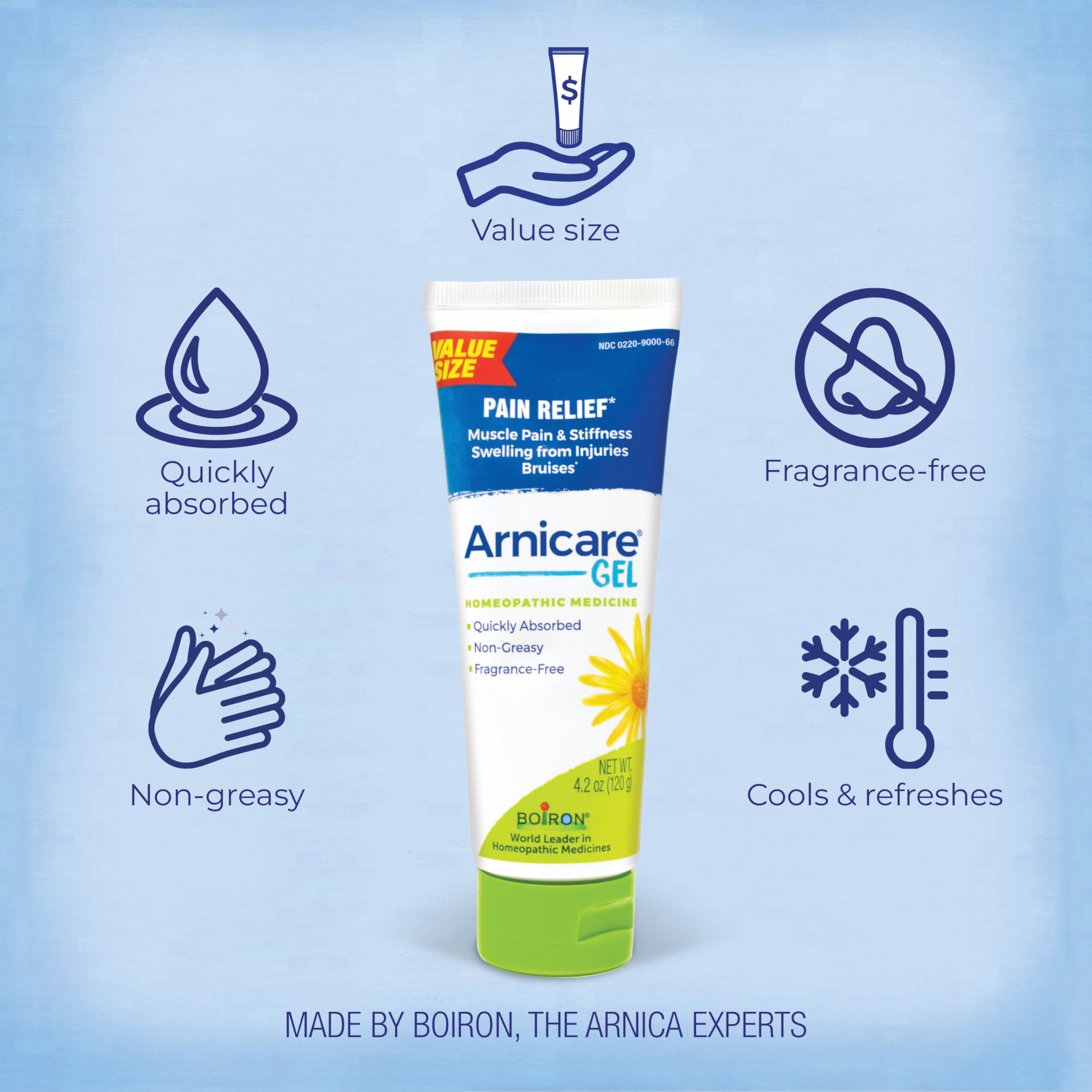 Boiron Arnicare Gel 4.2 oz (Twin Pack) for Joint Pain Relief, Muscle Pain, Muscle Soreness, and Swelling from Bruises or Injury - Non-Greasy and Fragrance-Free Arnica BoironAu supplements