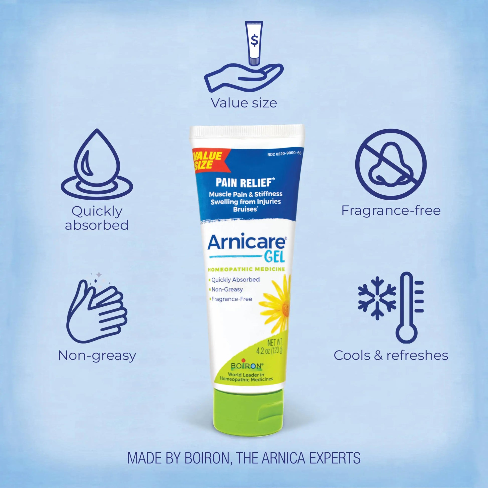 Boiron Arnicare Gel for Relief of Joint Pain, Muscle Pain, Muscle Soreness, and Swelling from Bruises or Injury - Non-greasy and Fragrance-Free - 4.2 oz BoironAu supplements