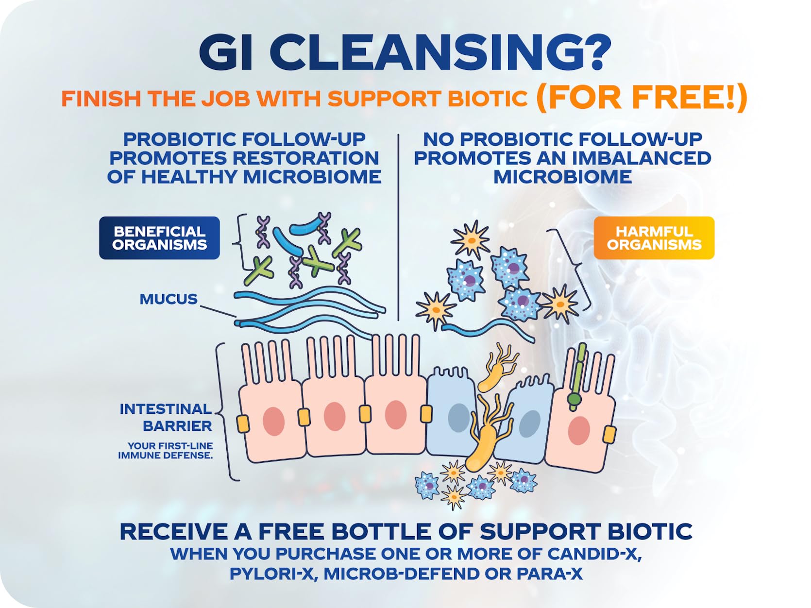 BioMatrix Candid-X Gut Cleanse with Berberine, Oregano, Sodium Caprylate, Chamomile, Ginger BioMatrixAu supplements